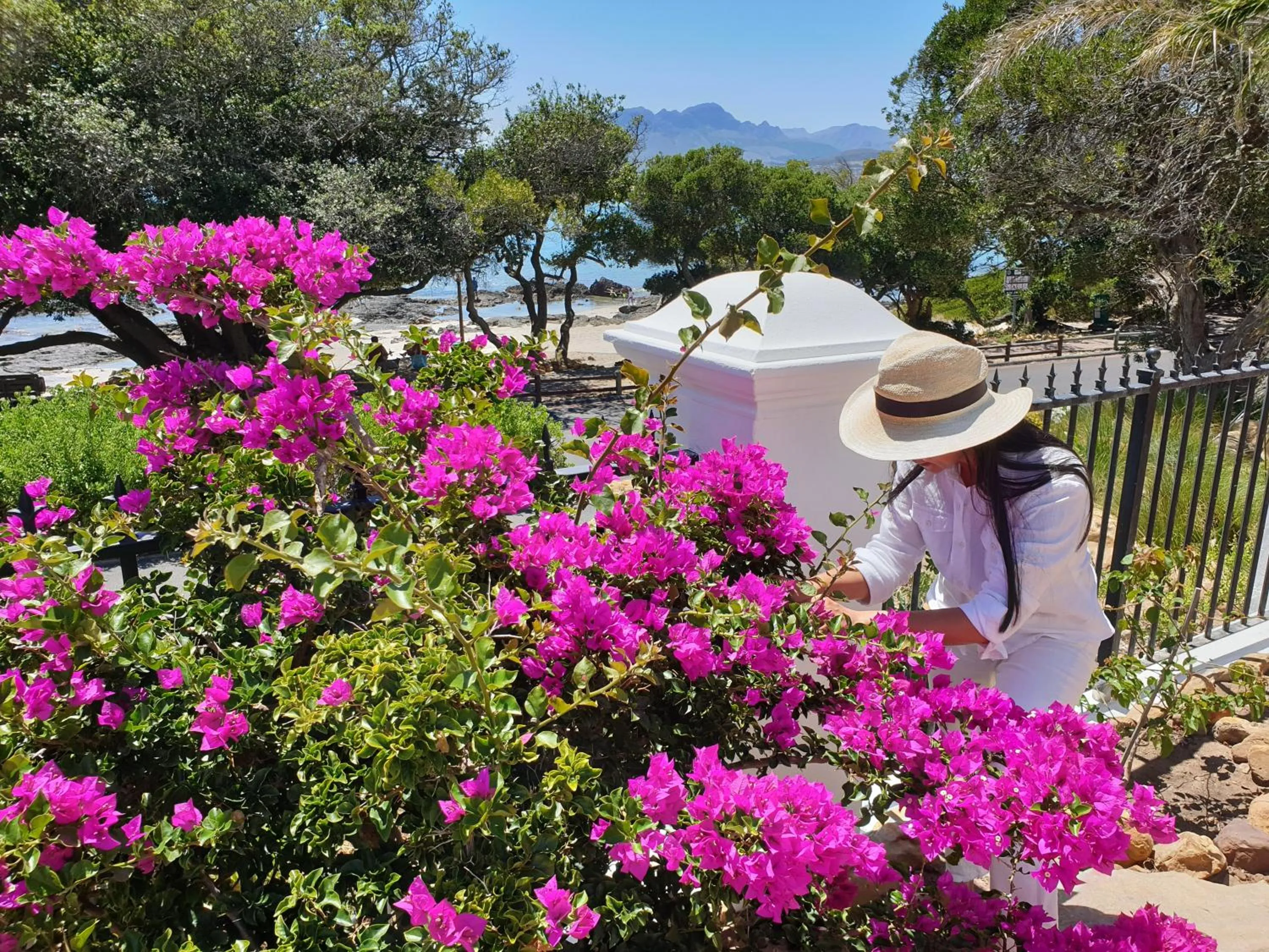 Garden in Manor on the Bay
