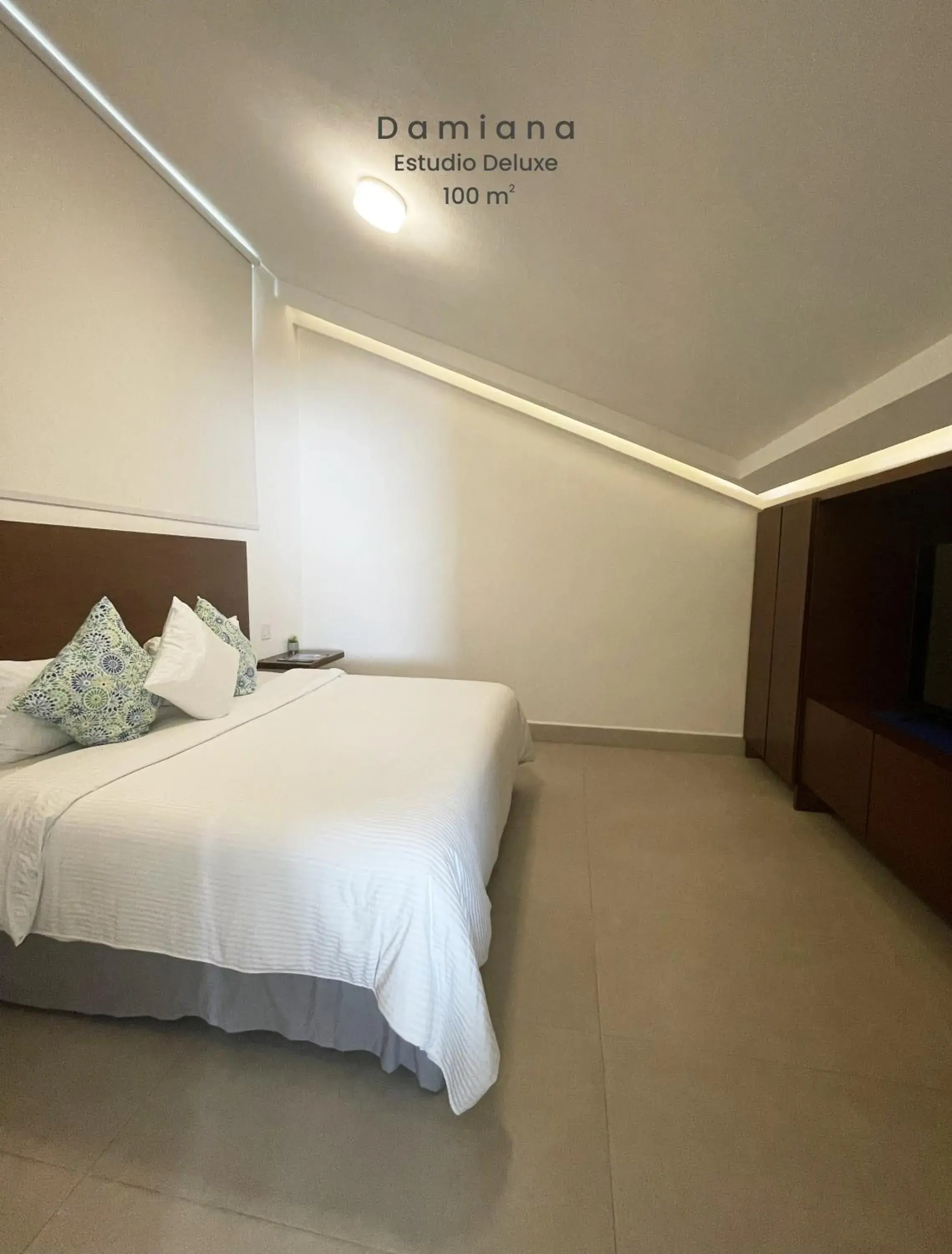 Deluxe King Studio - single occupancy in Marisol Hotel Boutique Deluxe King Studio - single occupancy in Marisol Hotel Boutique