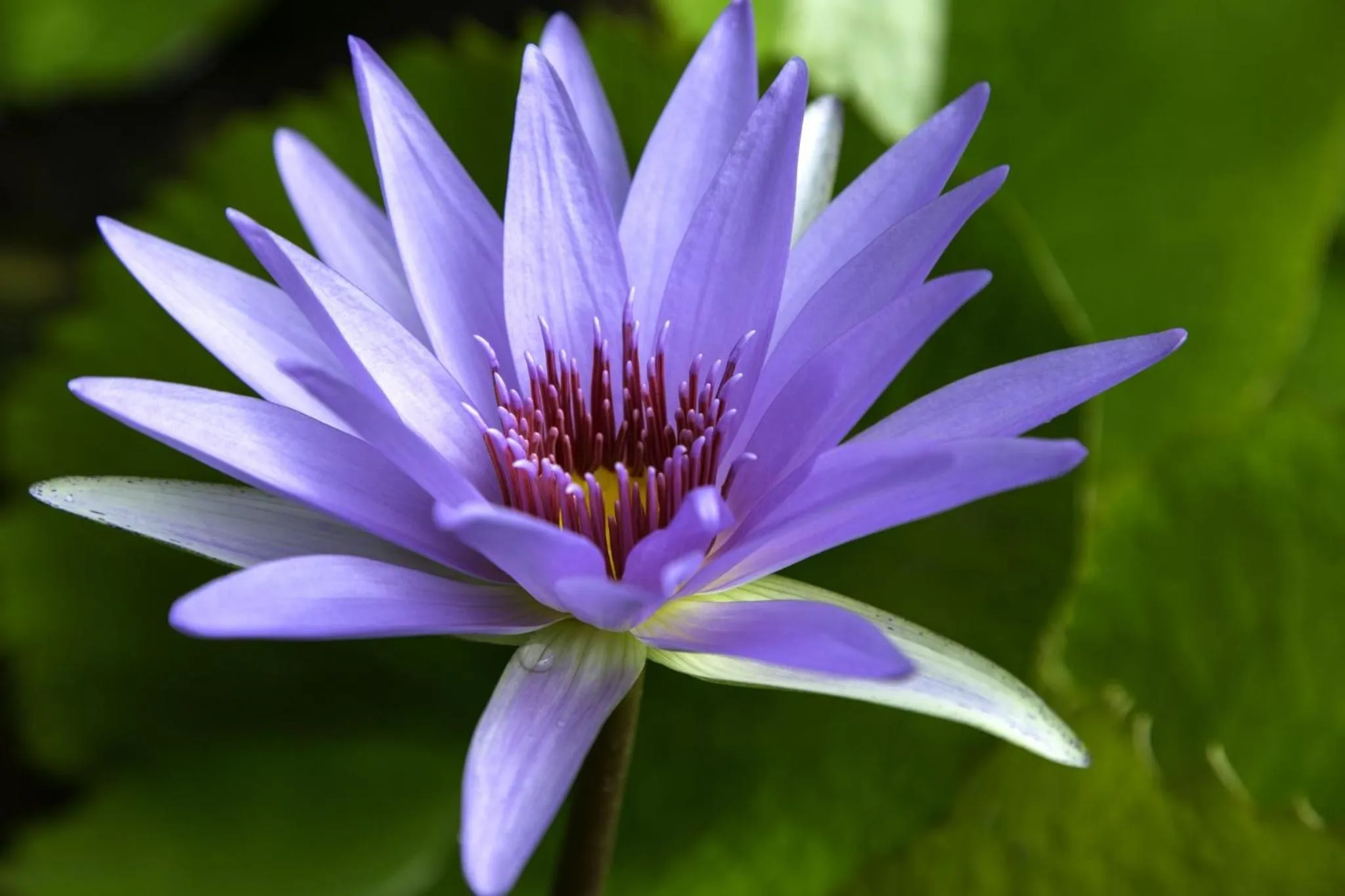 Other in Hacienda Uayamon