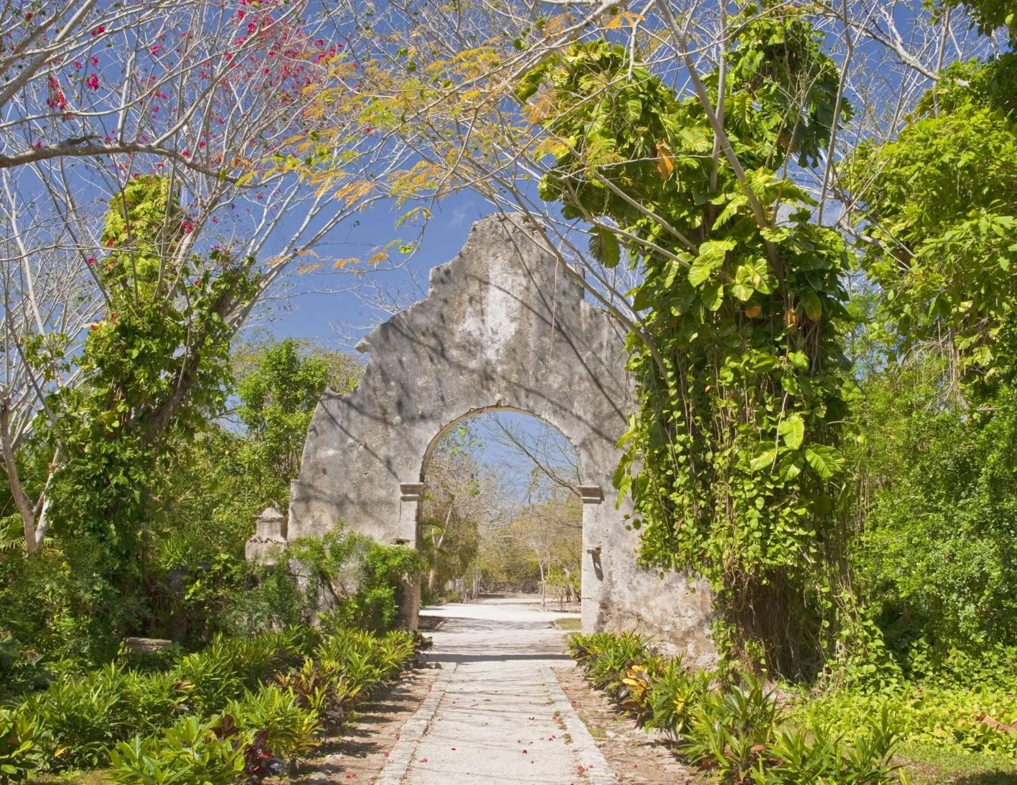 Property building in Hacienda San Jose Cholul