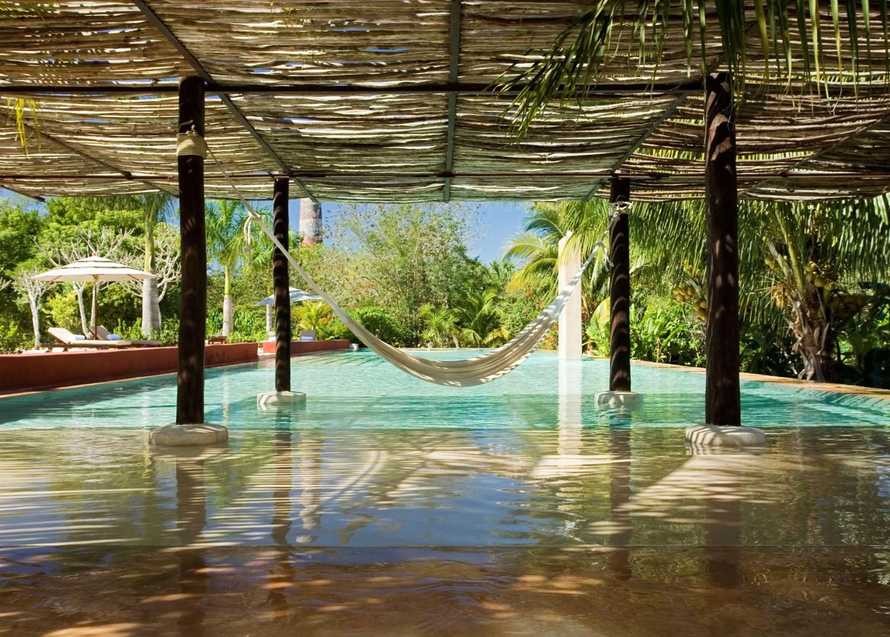 Natural landscape in Hacienda San Jose Cholul