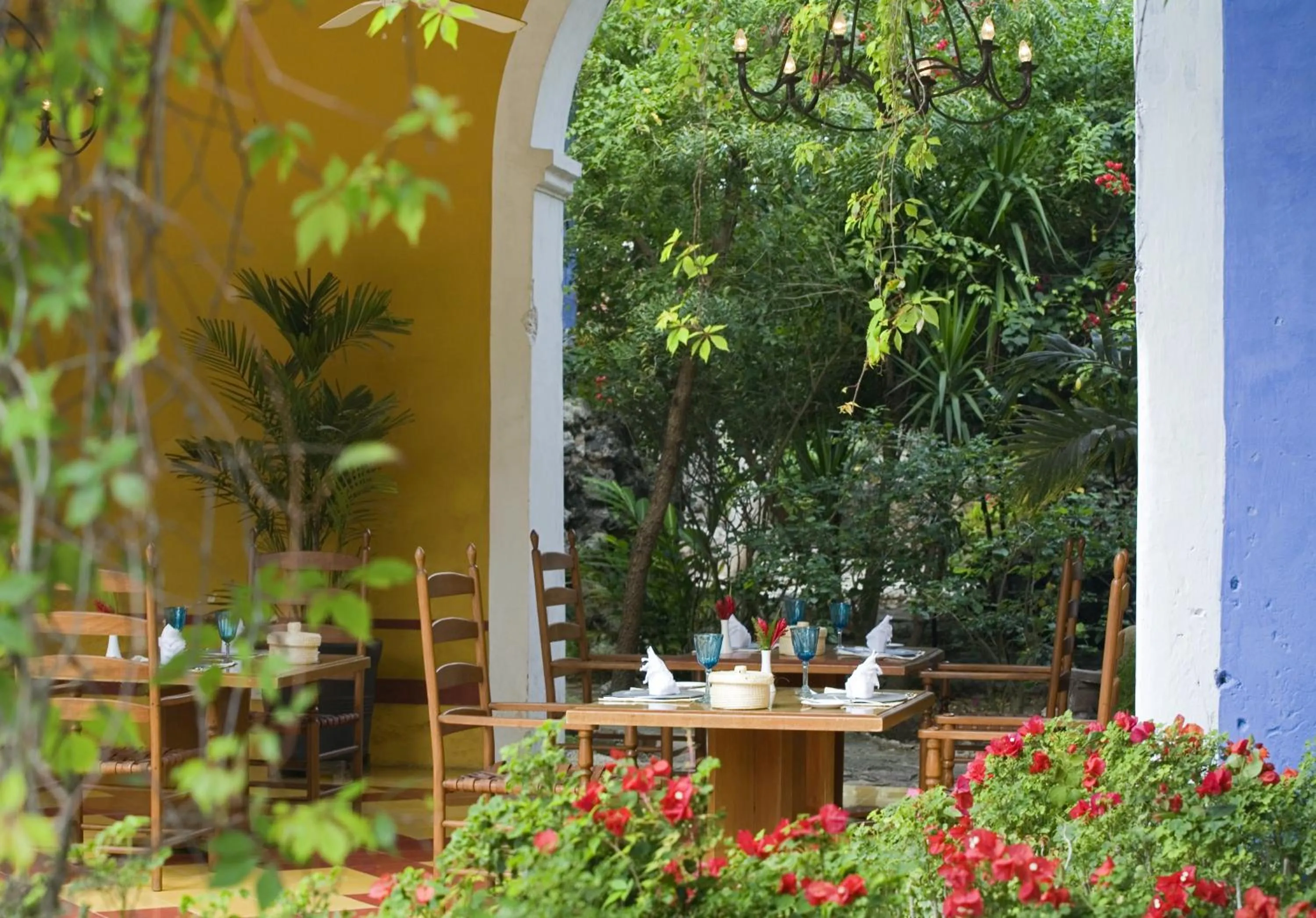 Restaurant/places to eat in Hacienda San Jose Cholul