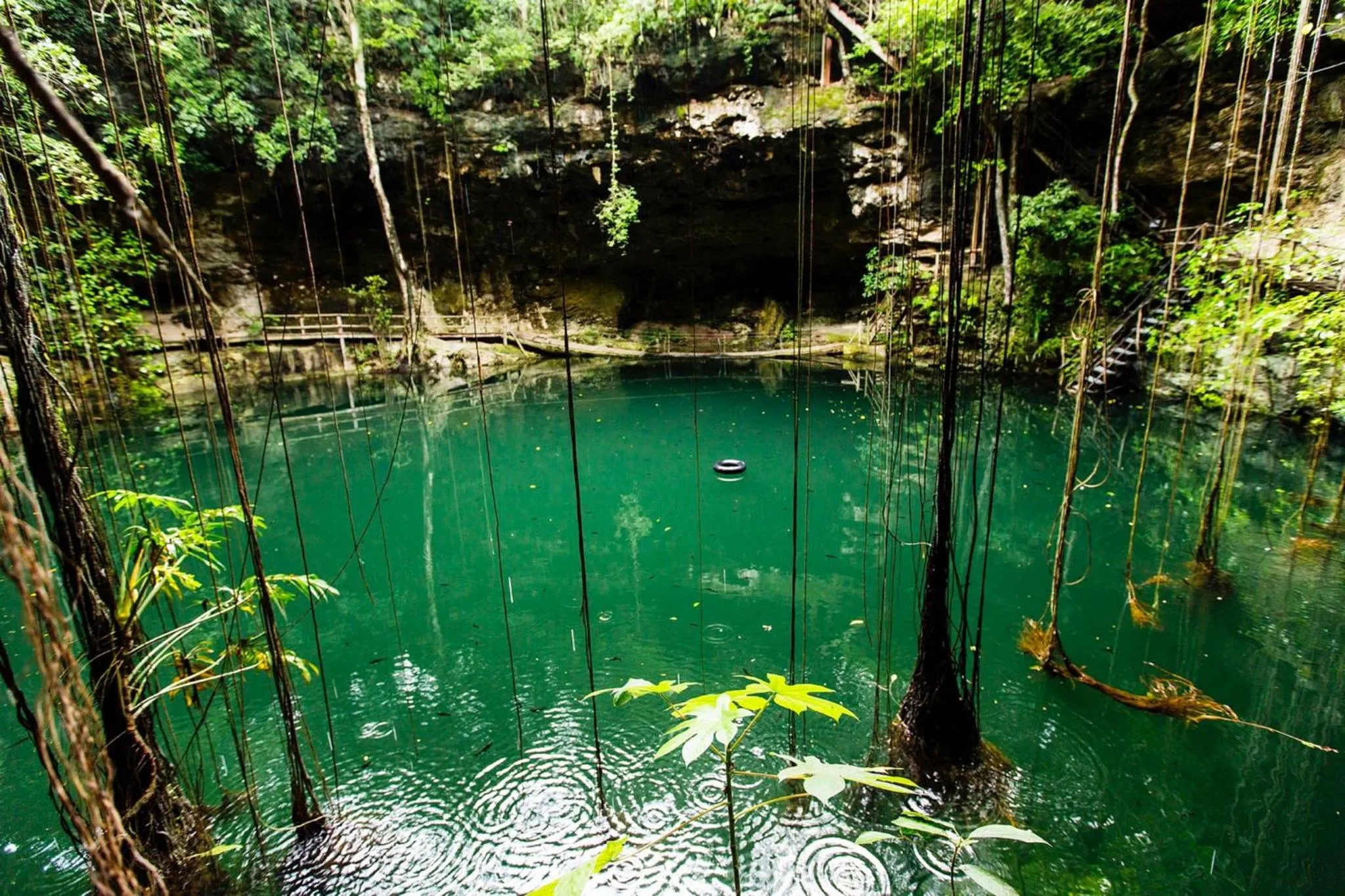 Area and facilities in Hacienda San Jose Cholul