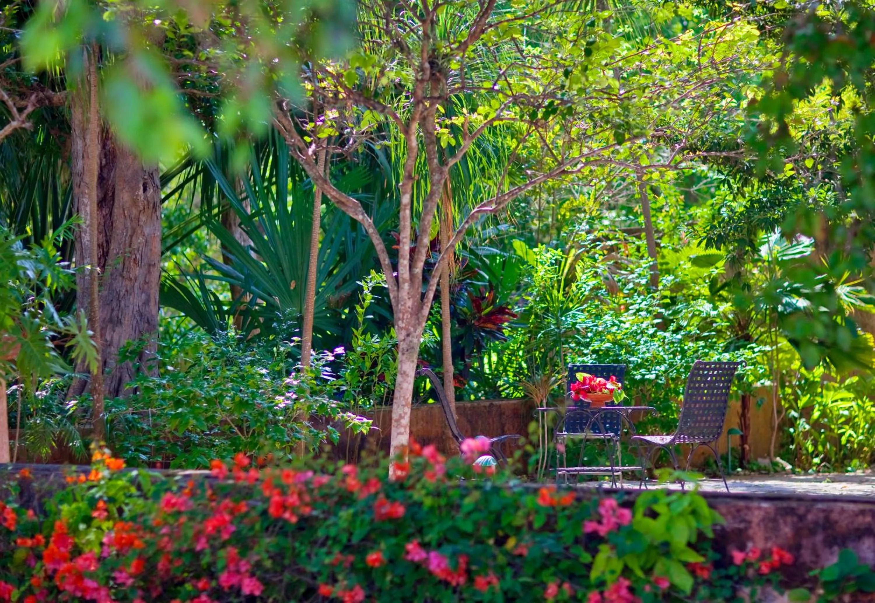 Day in Hacienda Santa Rosa de Lima