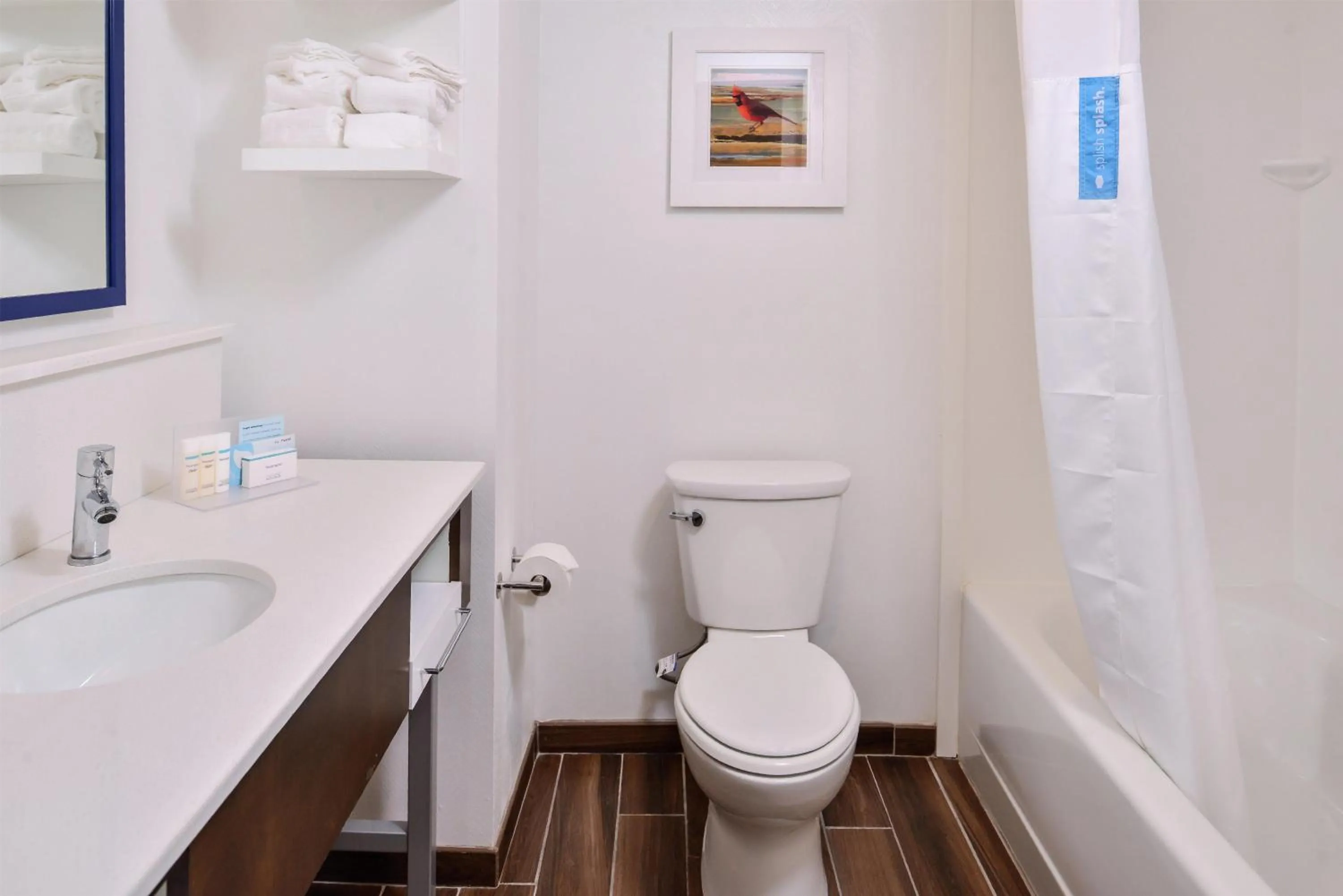 Bathroom in Hampton Inn Benson