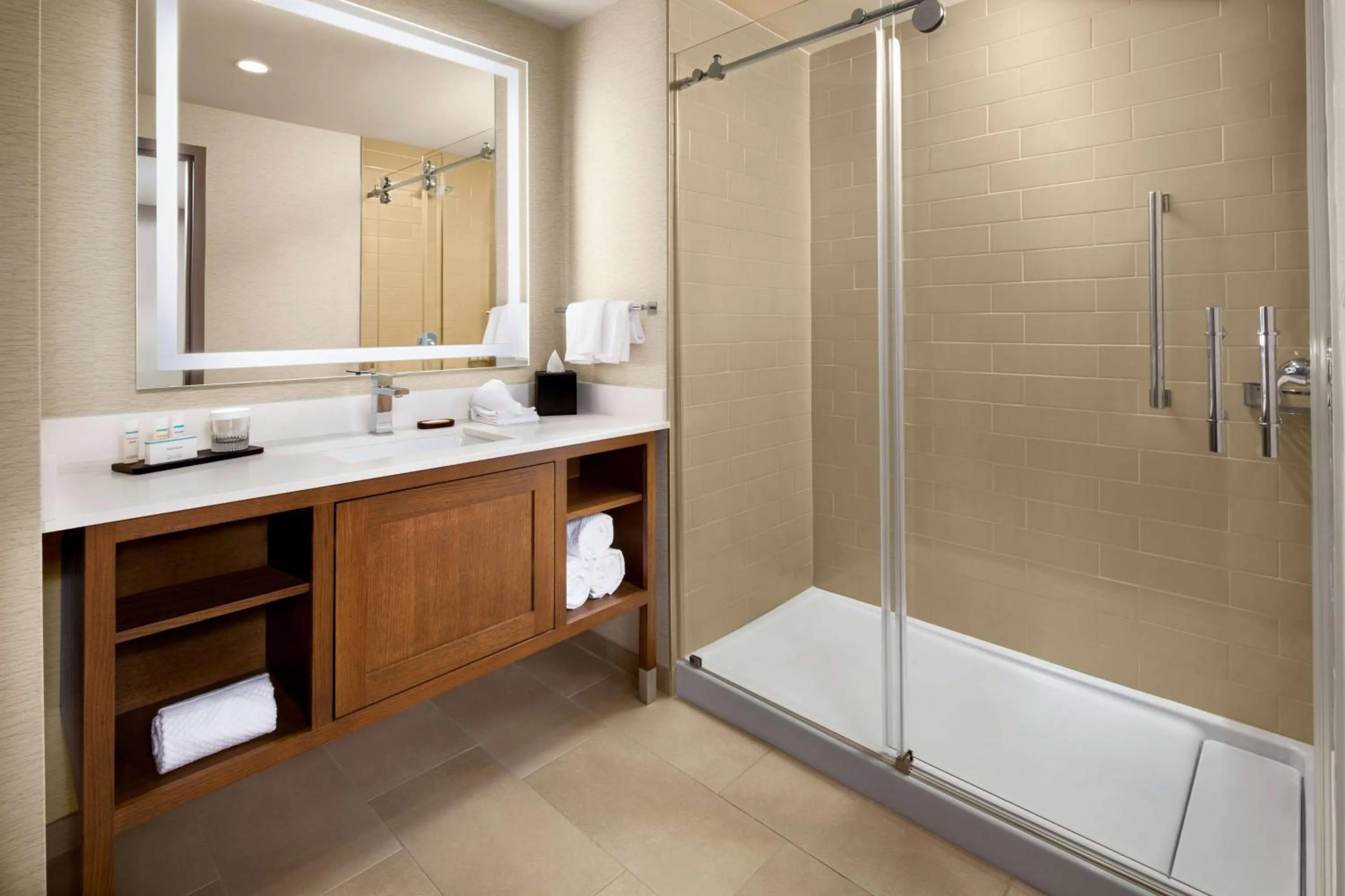 Bathroom in Embassy Suites by Hilton South Bend