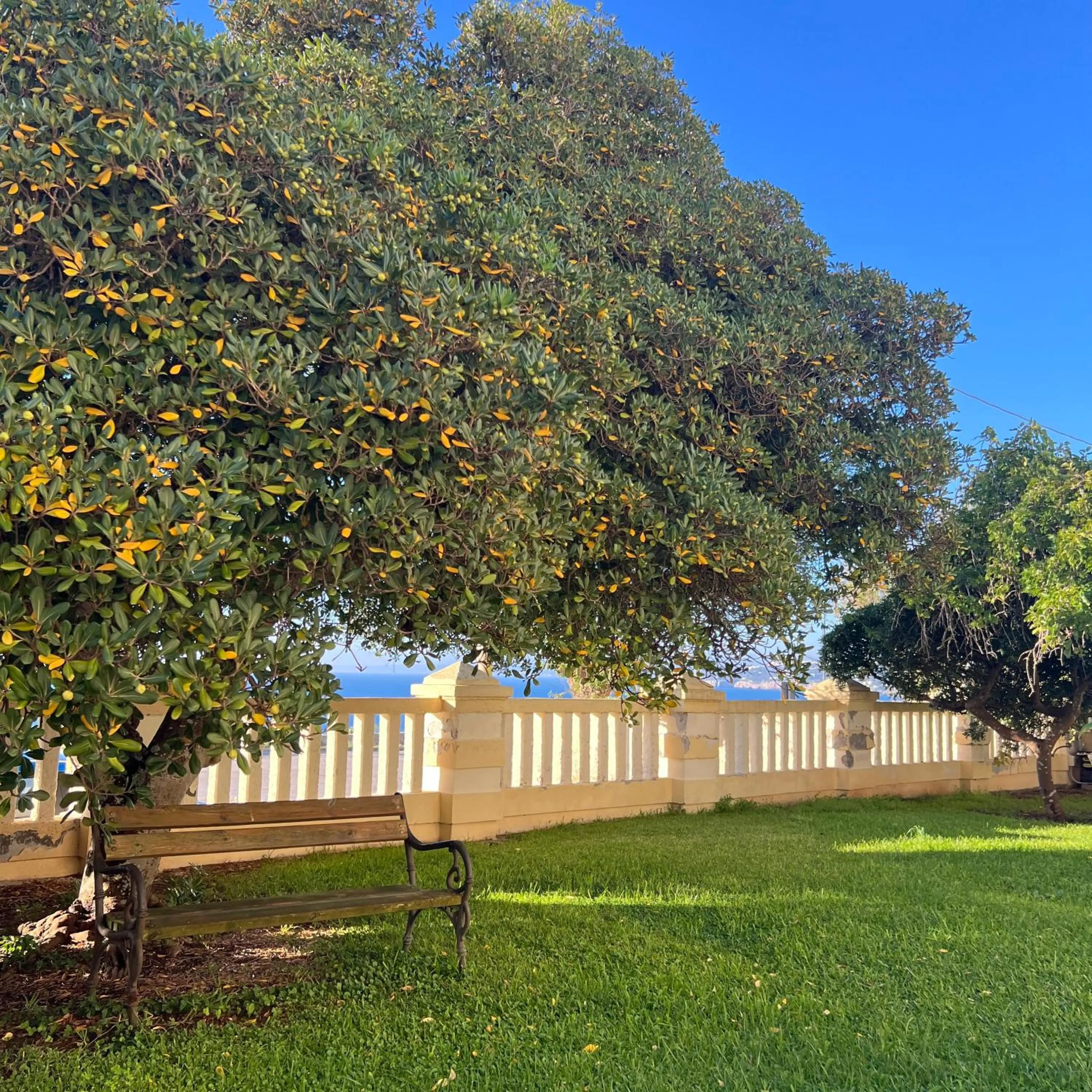Natural landscape in Villa Raffaella