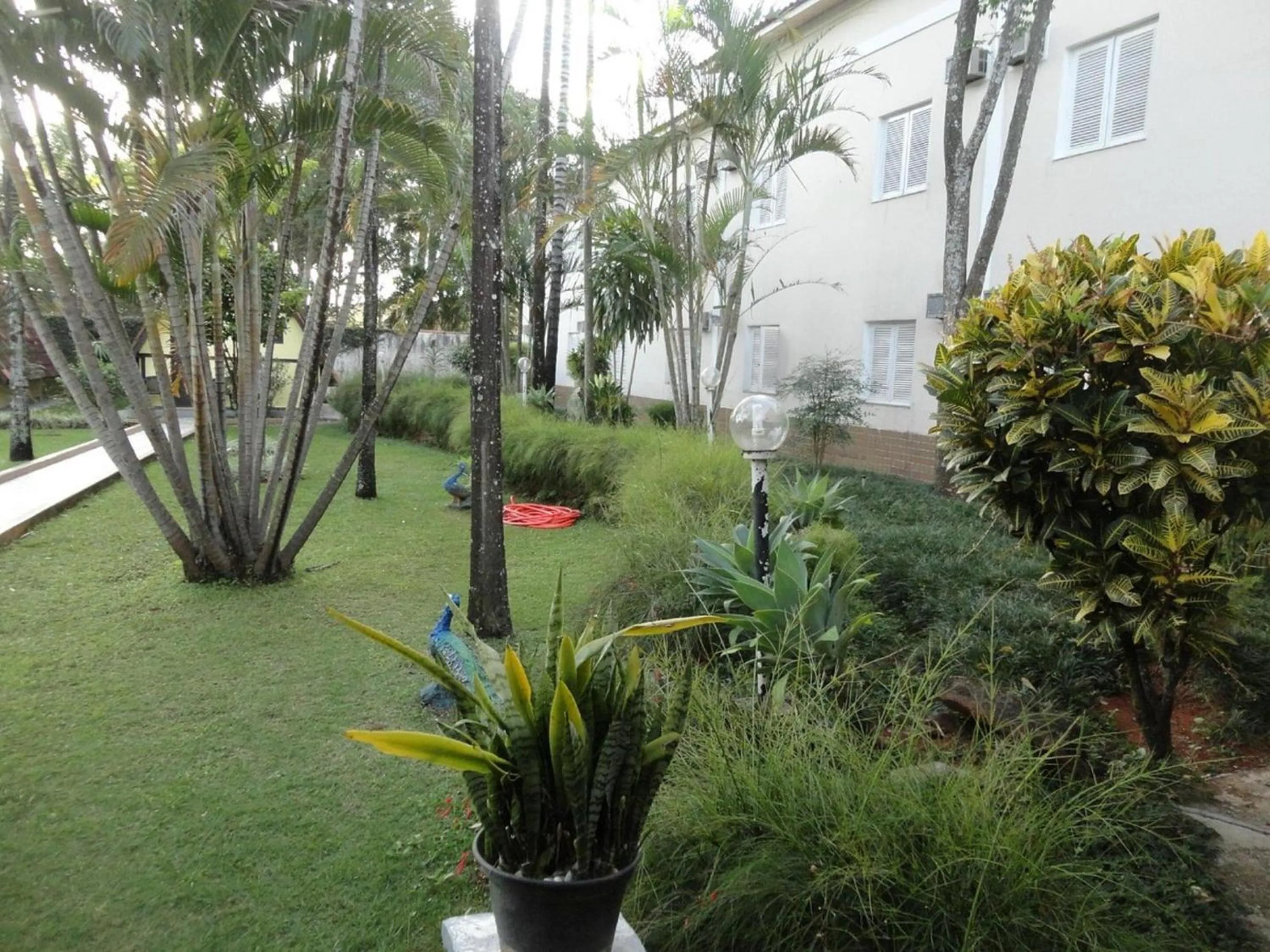 Garden in Hotel Dona Beja
