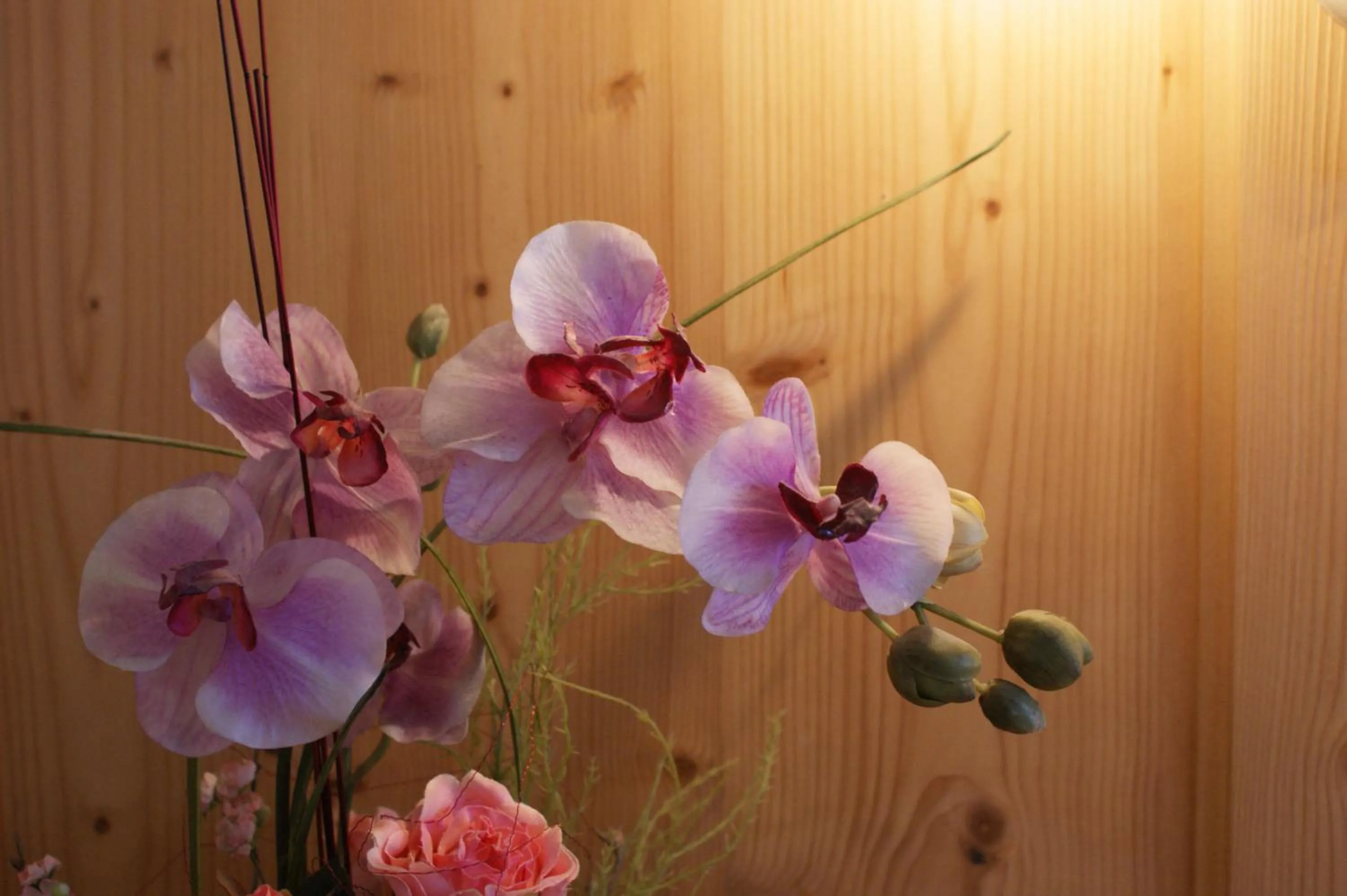 Decorative detail in Sportapart Garni Mallaun