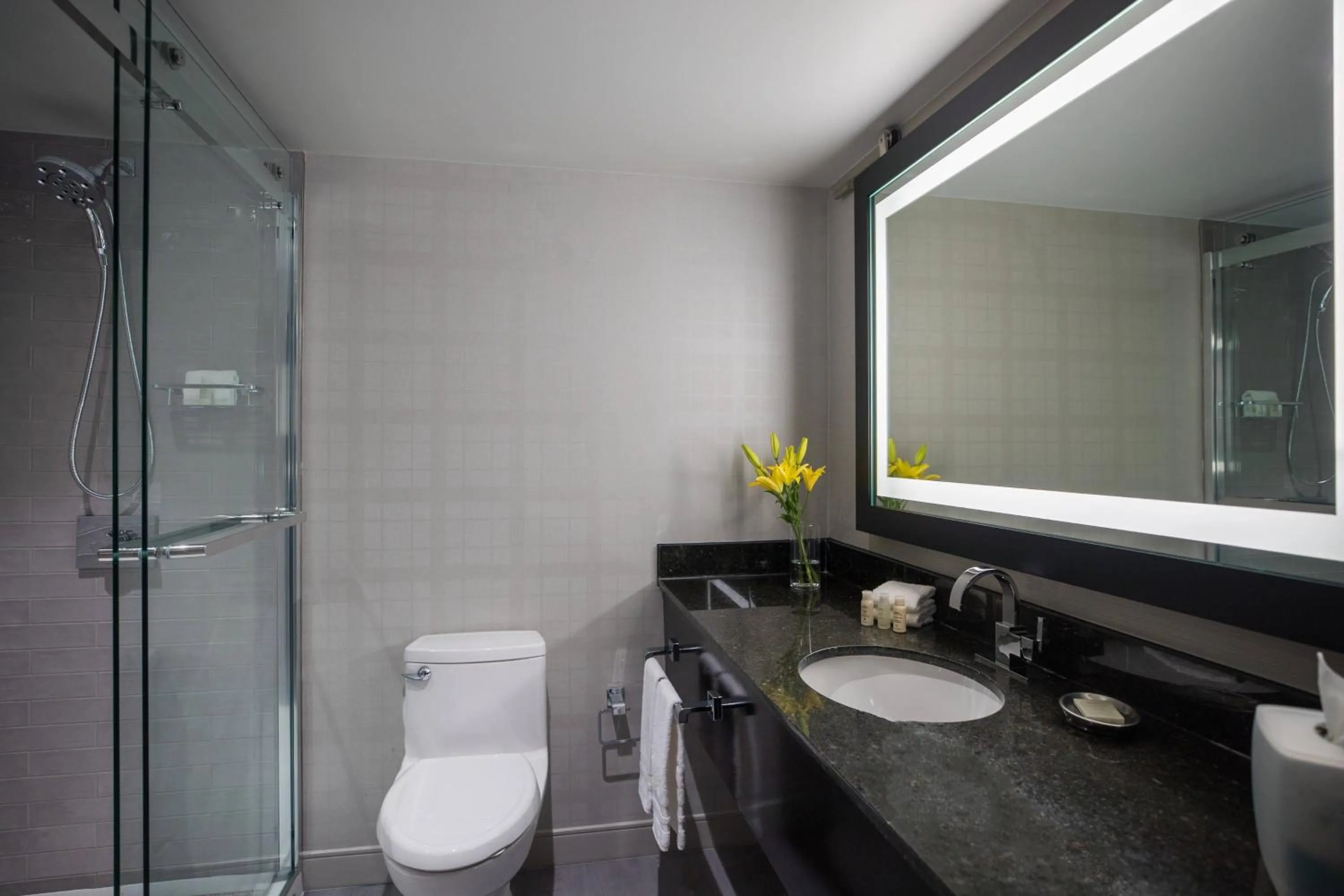 Bathroom in Renaissance Minneapolis Bloomington Hotel