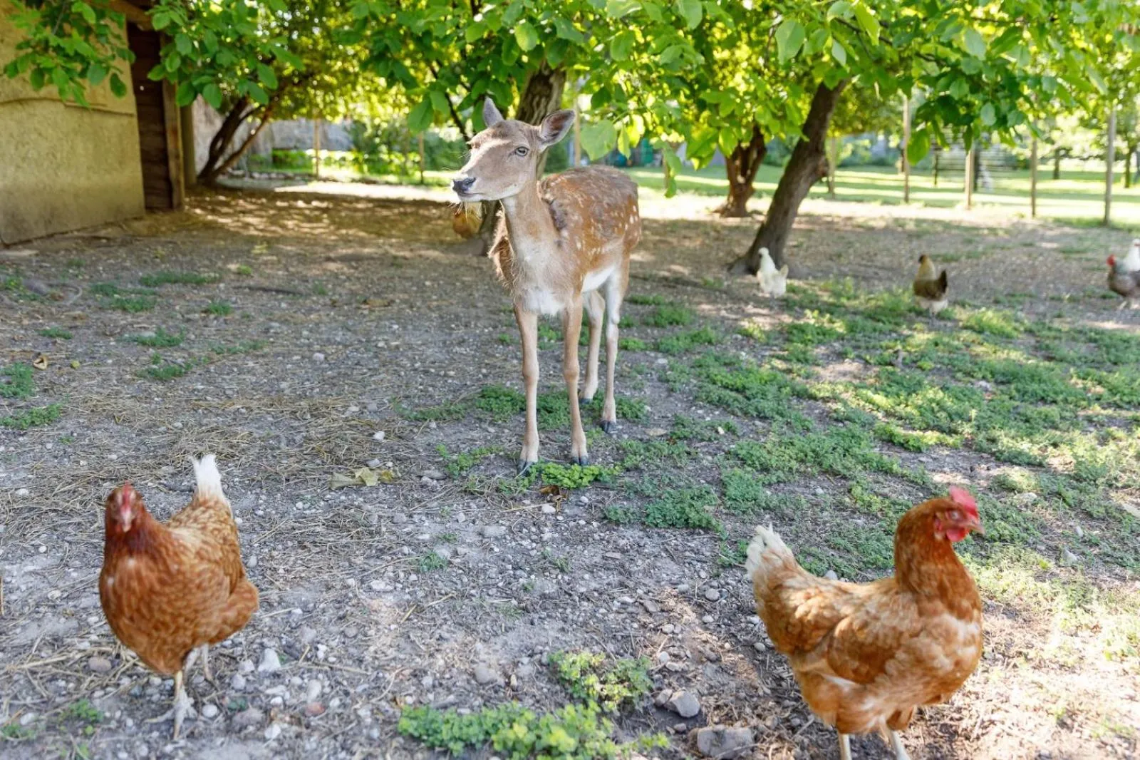 Villa Padovani Relais de Charme - Adults Only