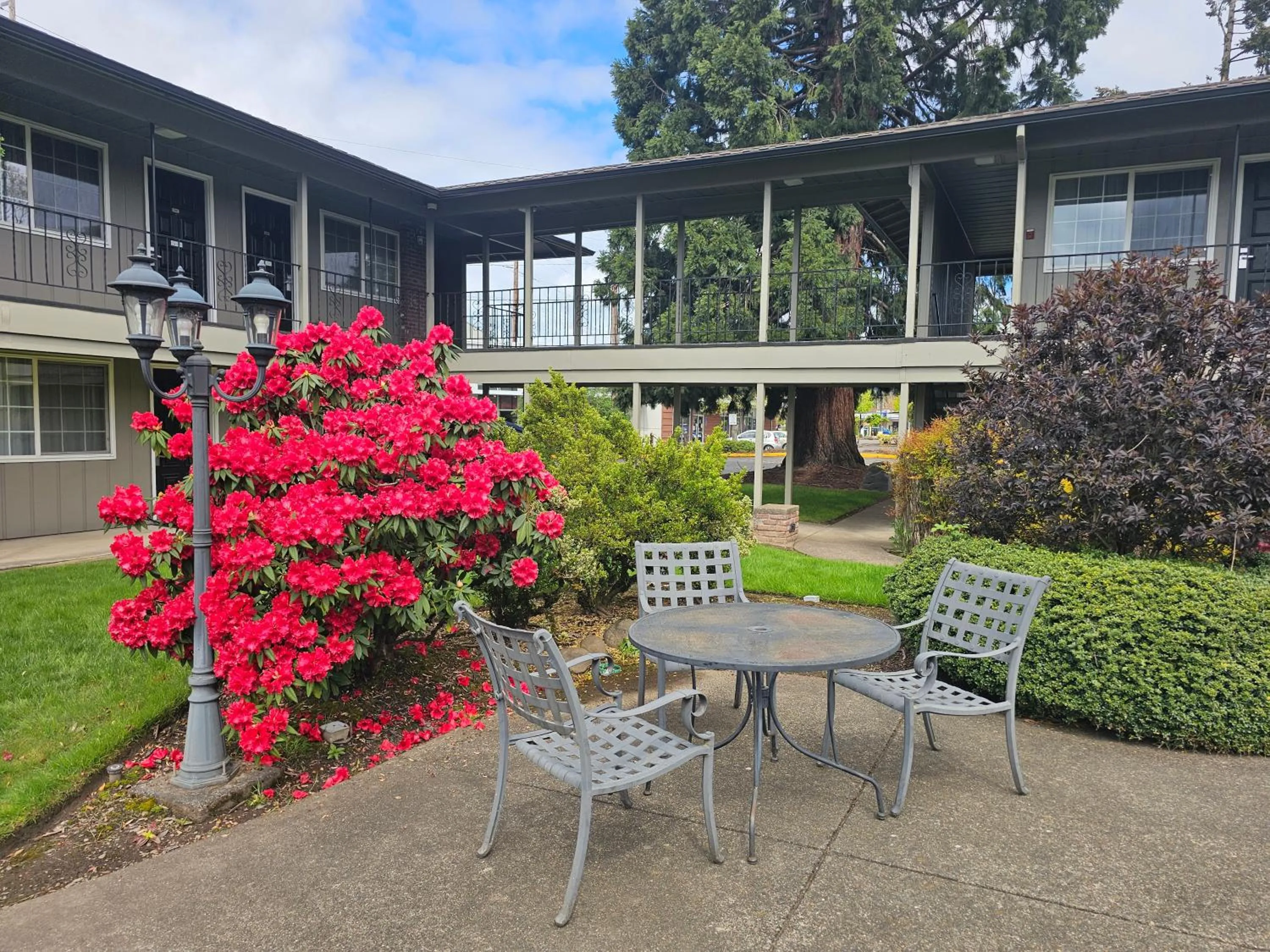 Garden in Village Inn