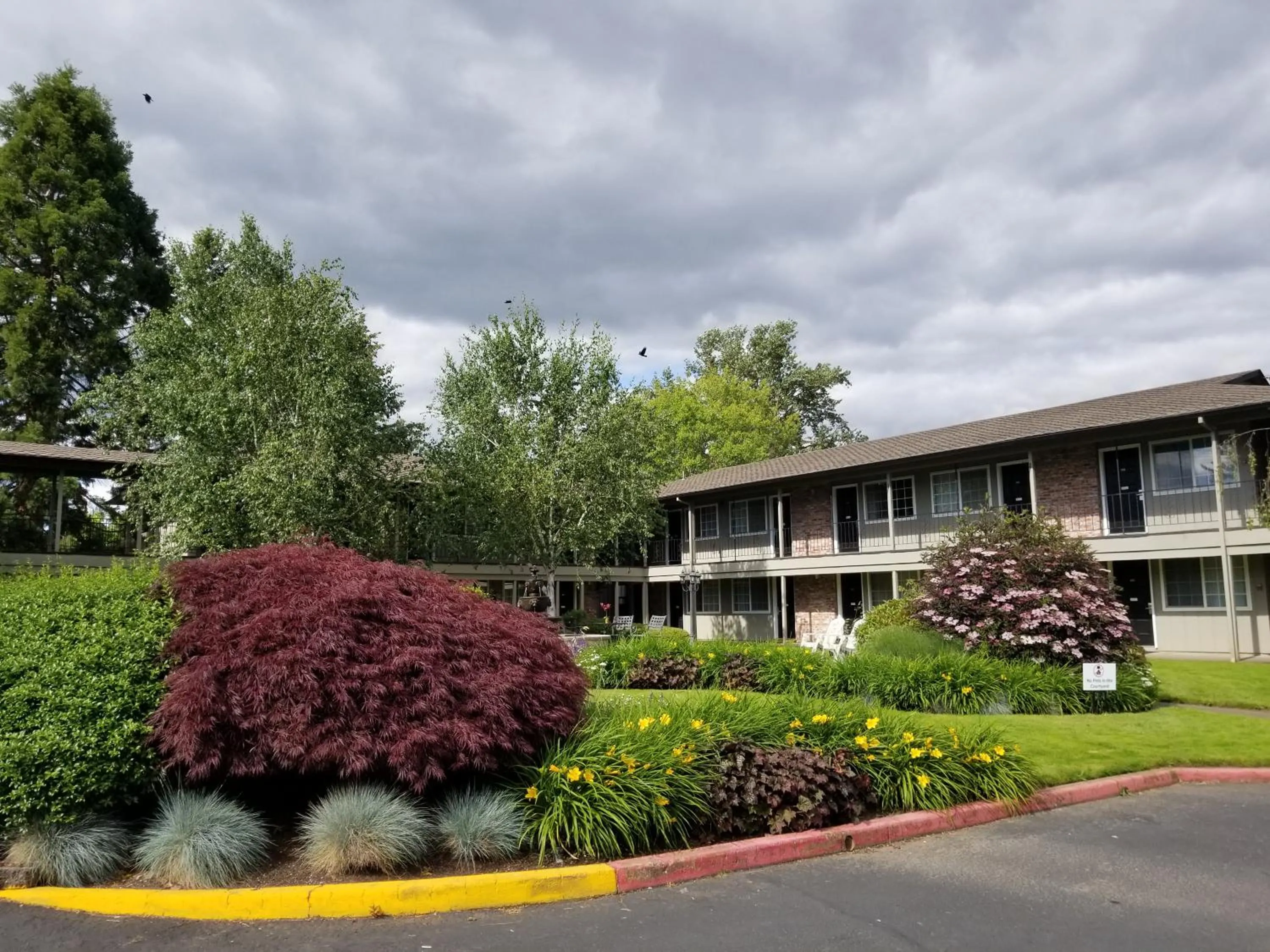 Garden in Village Inn