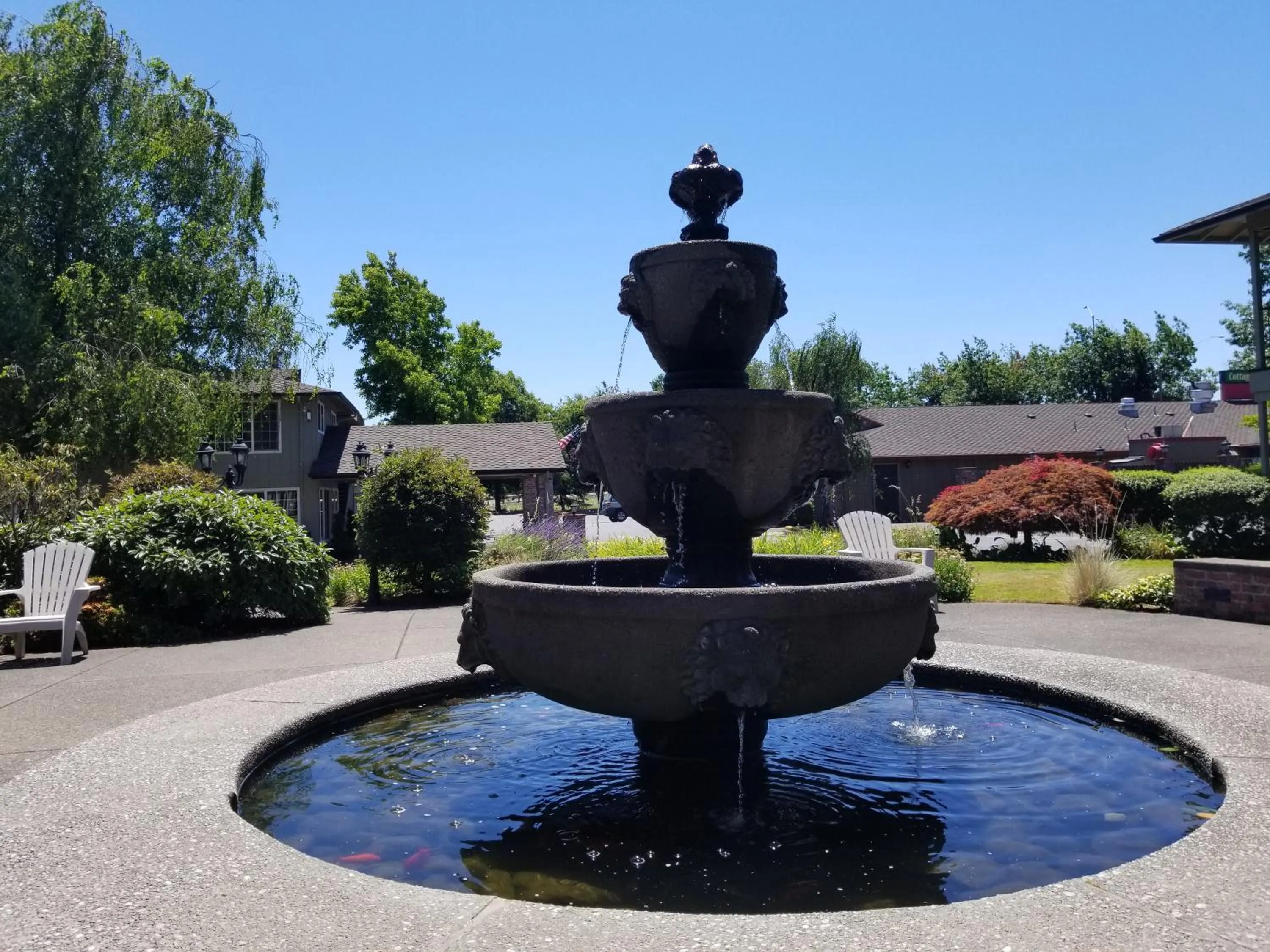 Garden in Village Inn