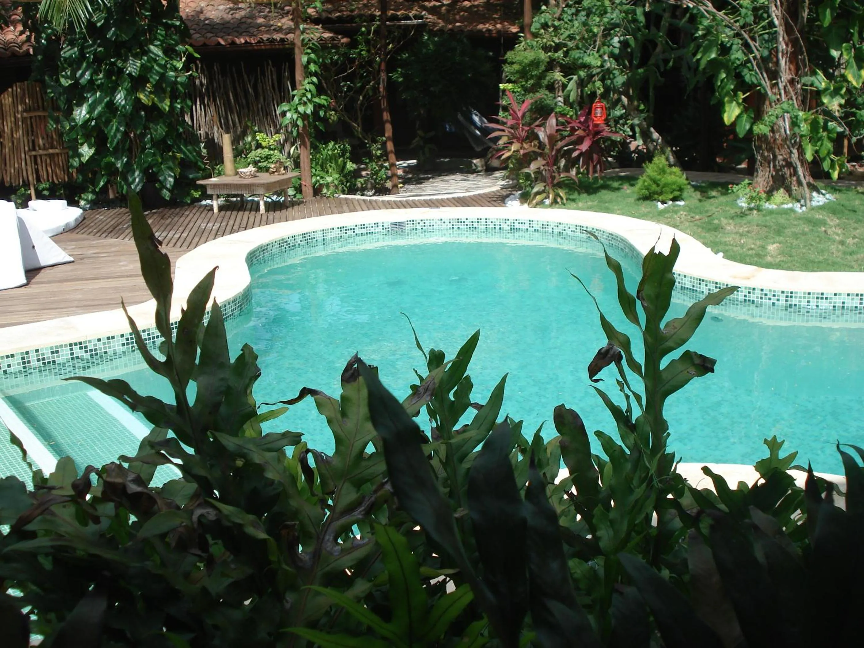 Day in Pousada Ibirapuera