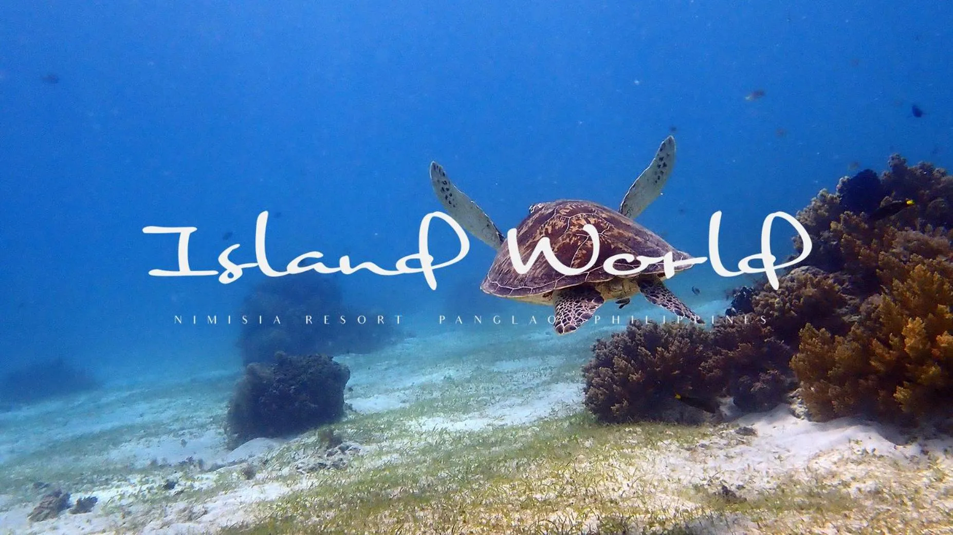 Snorkeling in Island World Panglao