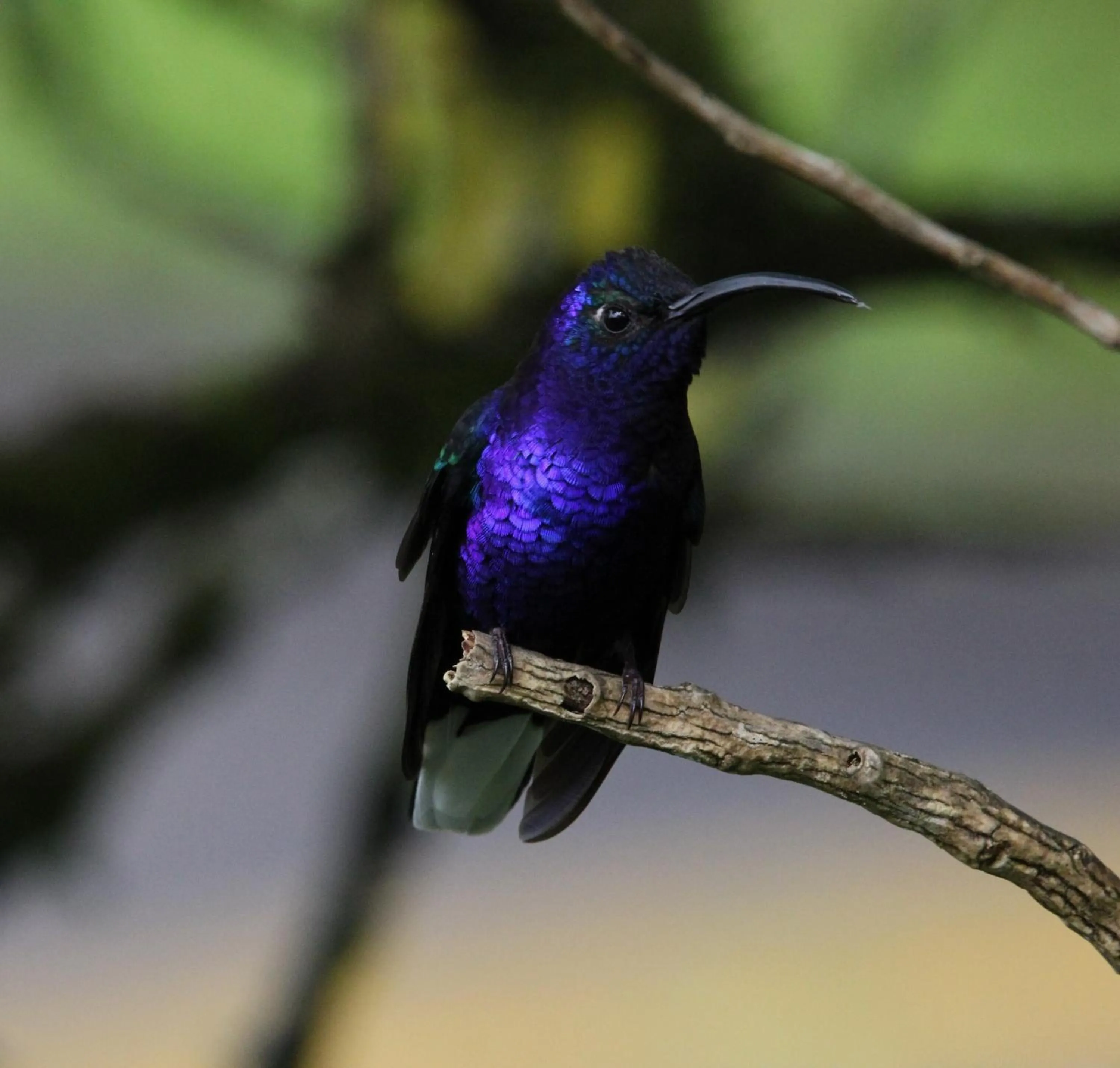 Off site in El Establo Mountain Hotel