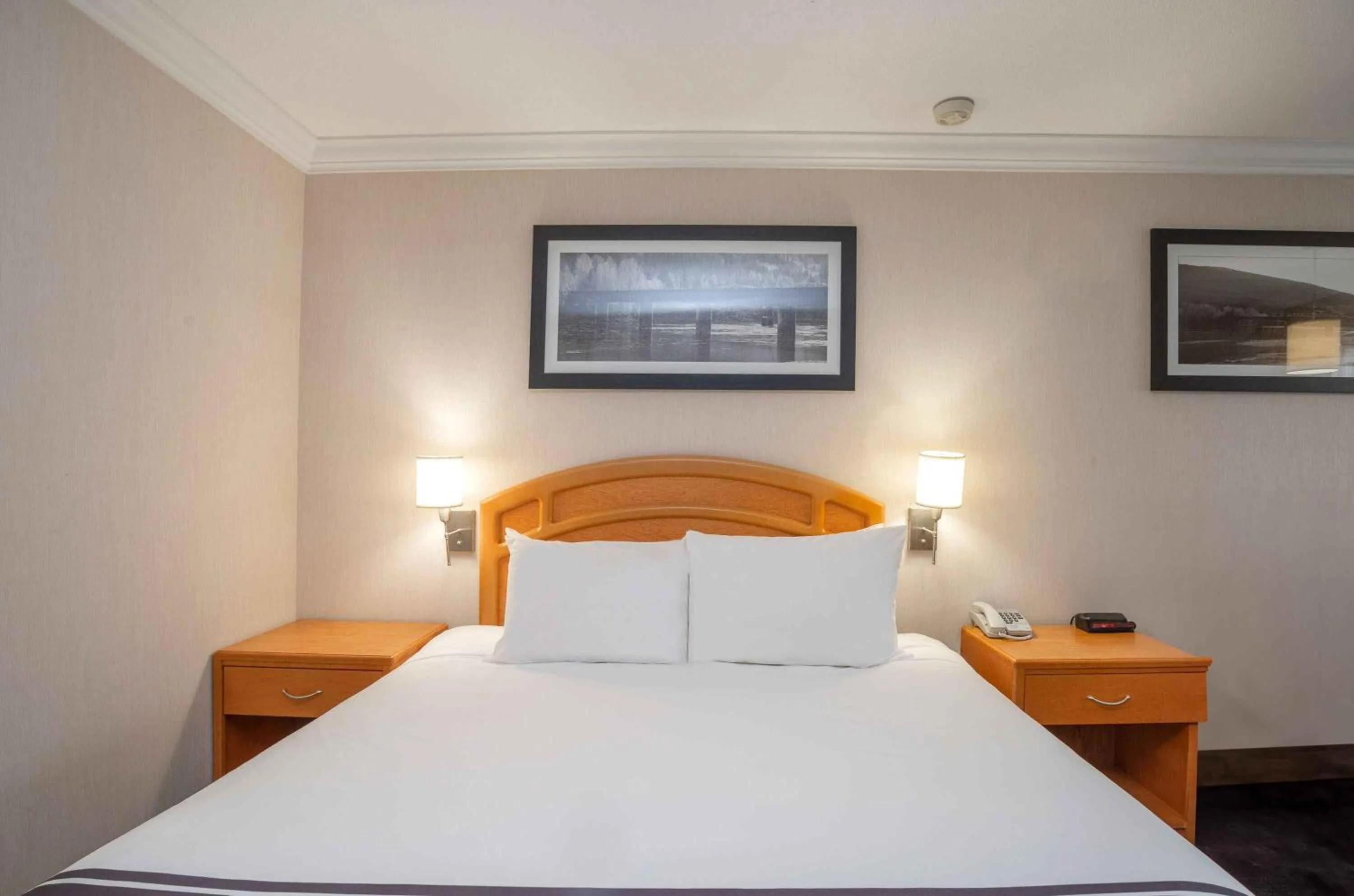 Photo of the whole room, Bed in Sandman Hotel Revelstoke