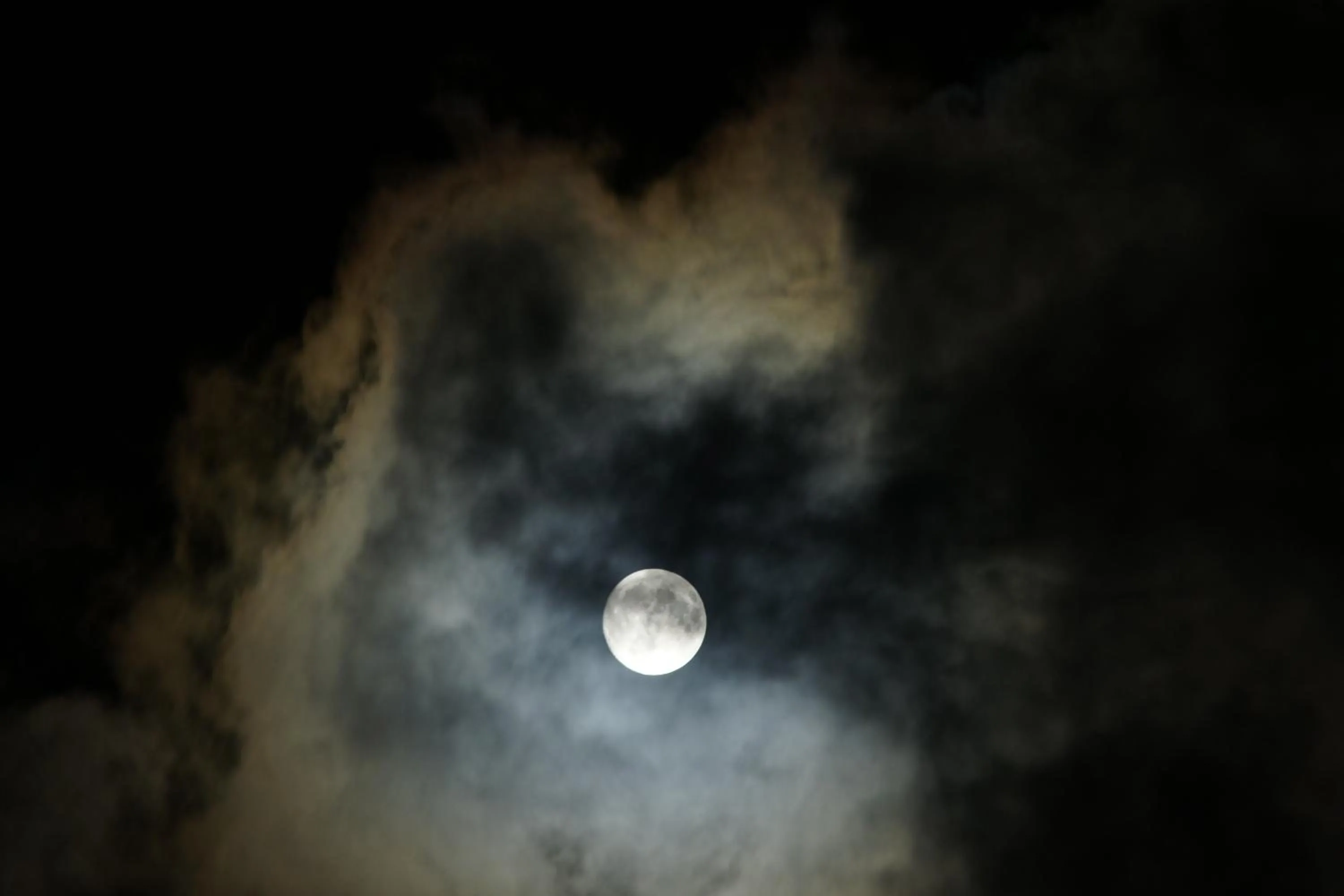 Other in Koyasan Shukubo Ekoin