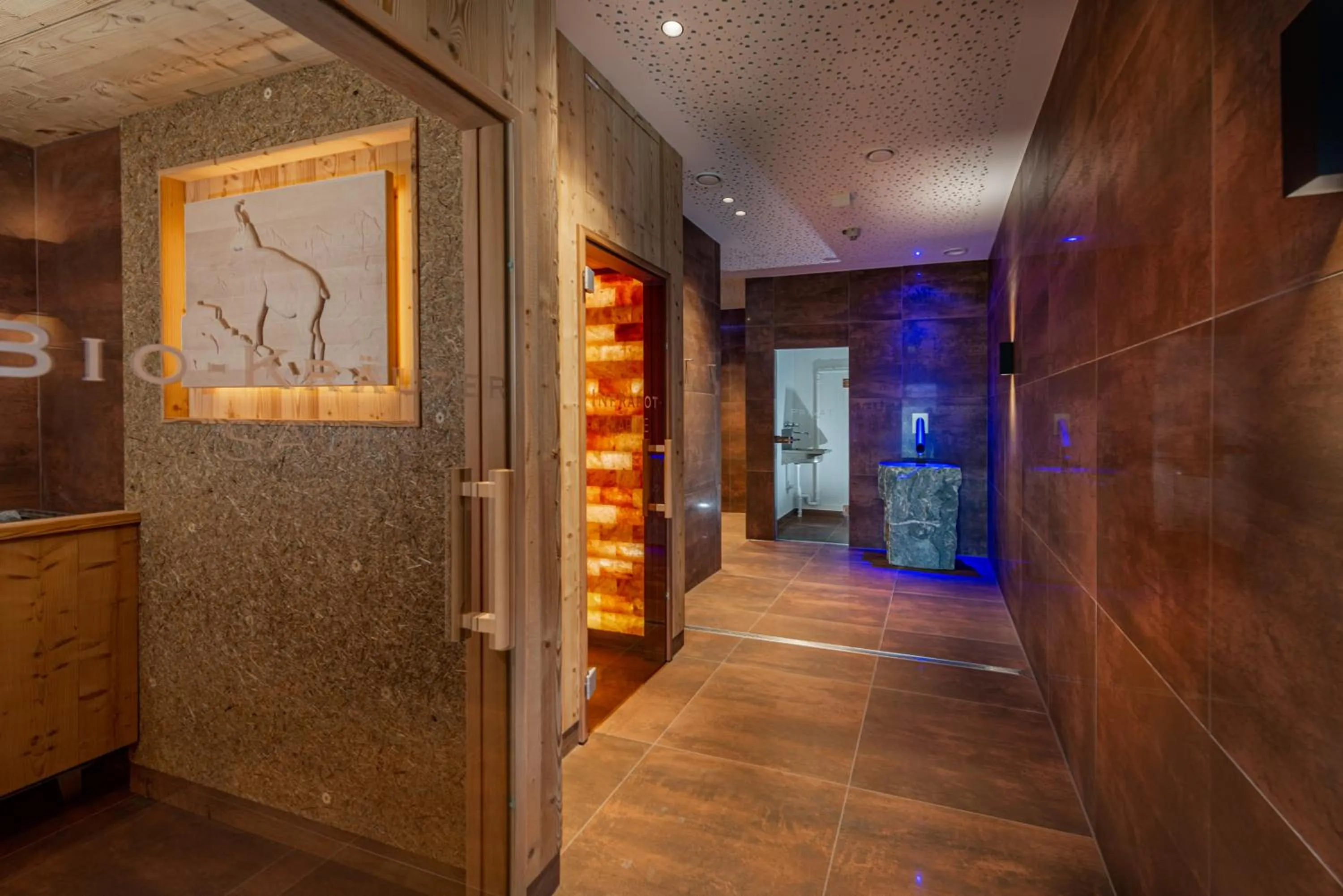 Spa and wellness centre/facilities in Skylodge Alpine Homes