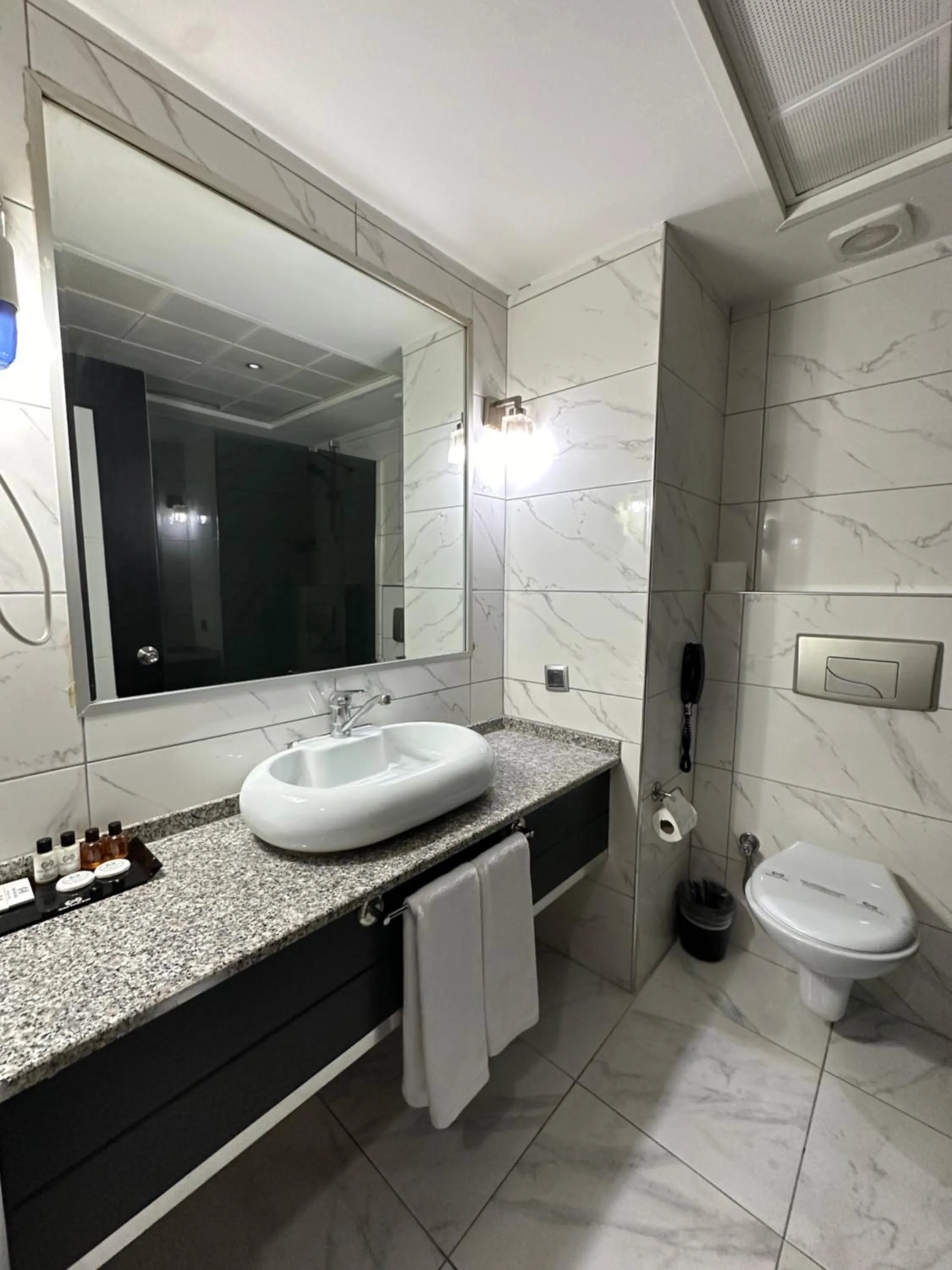 Standard Triple Room in Grand Denizli Hotel