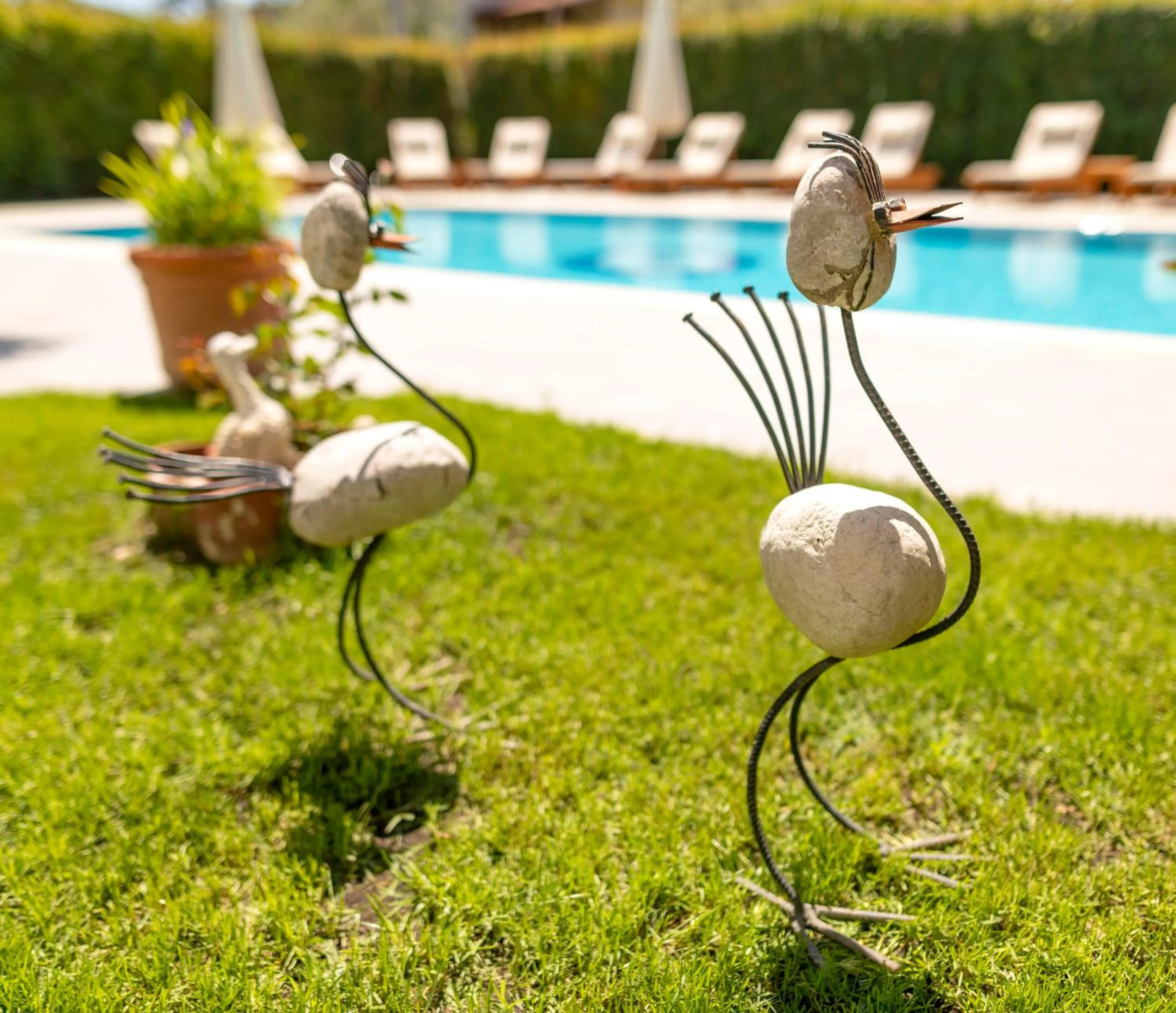 Garden in Kerem Apart Hotel