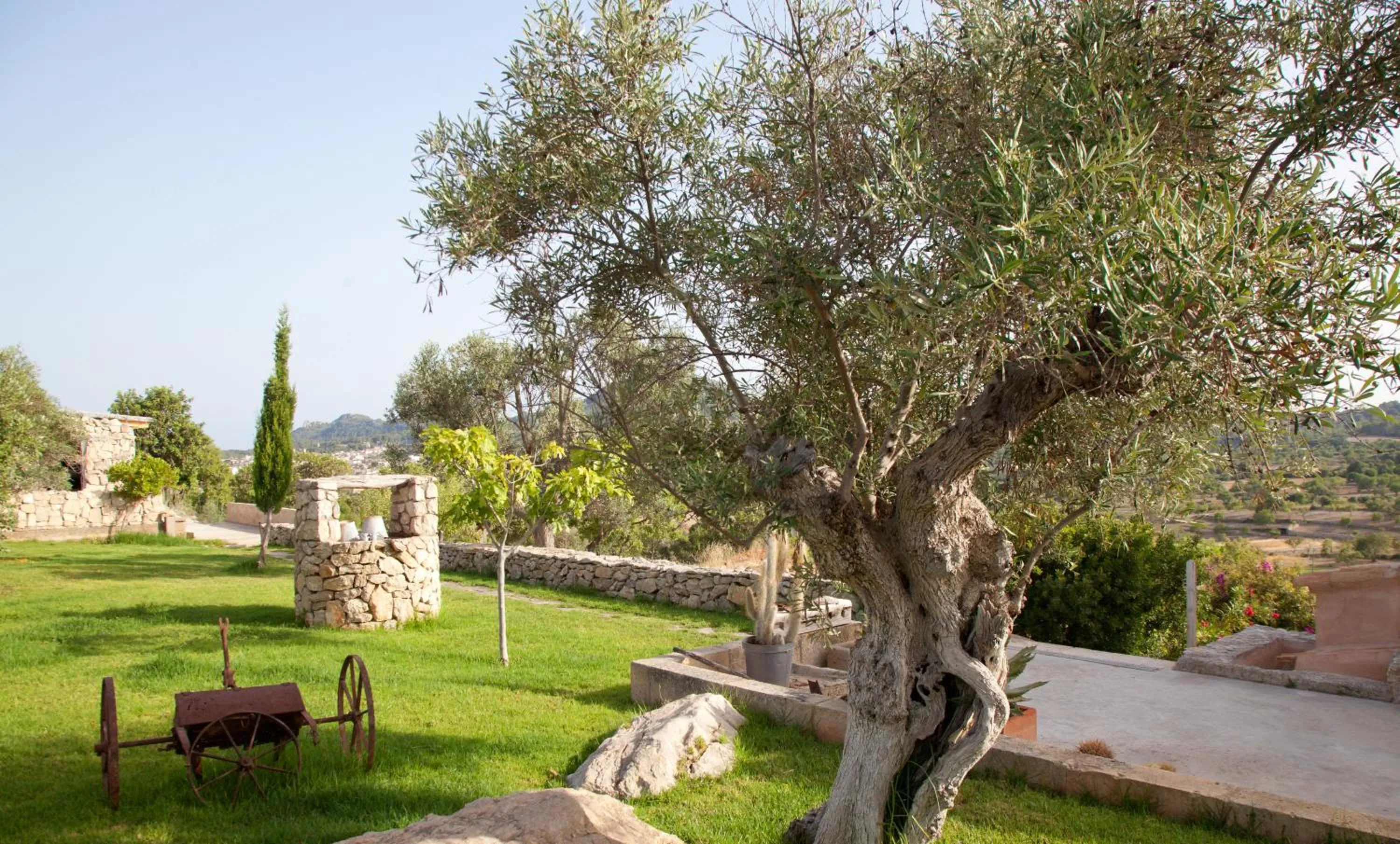 Garden in Agroturismo Ses Cases de Fetget