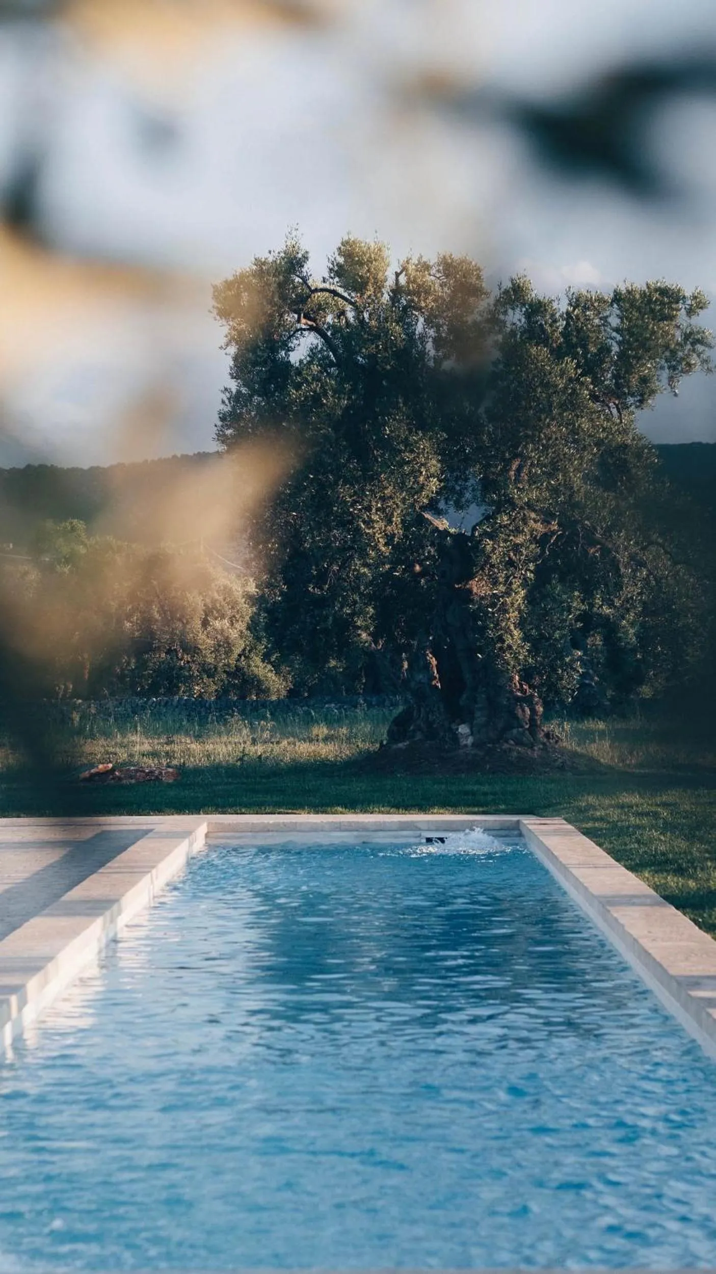 Swimming pool in Masseria San Giovanni - Epoca Collection