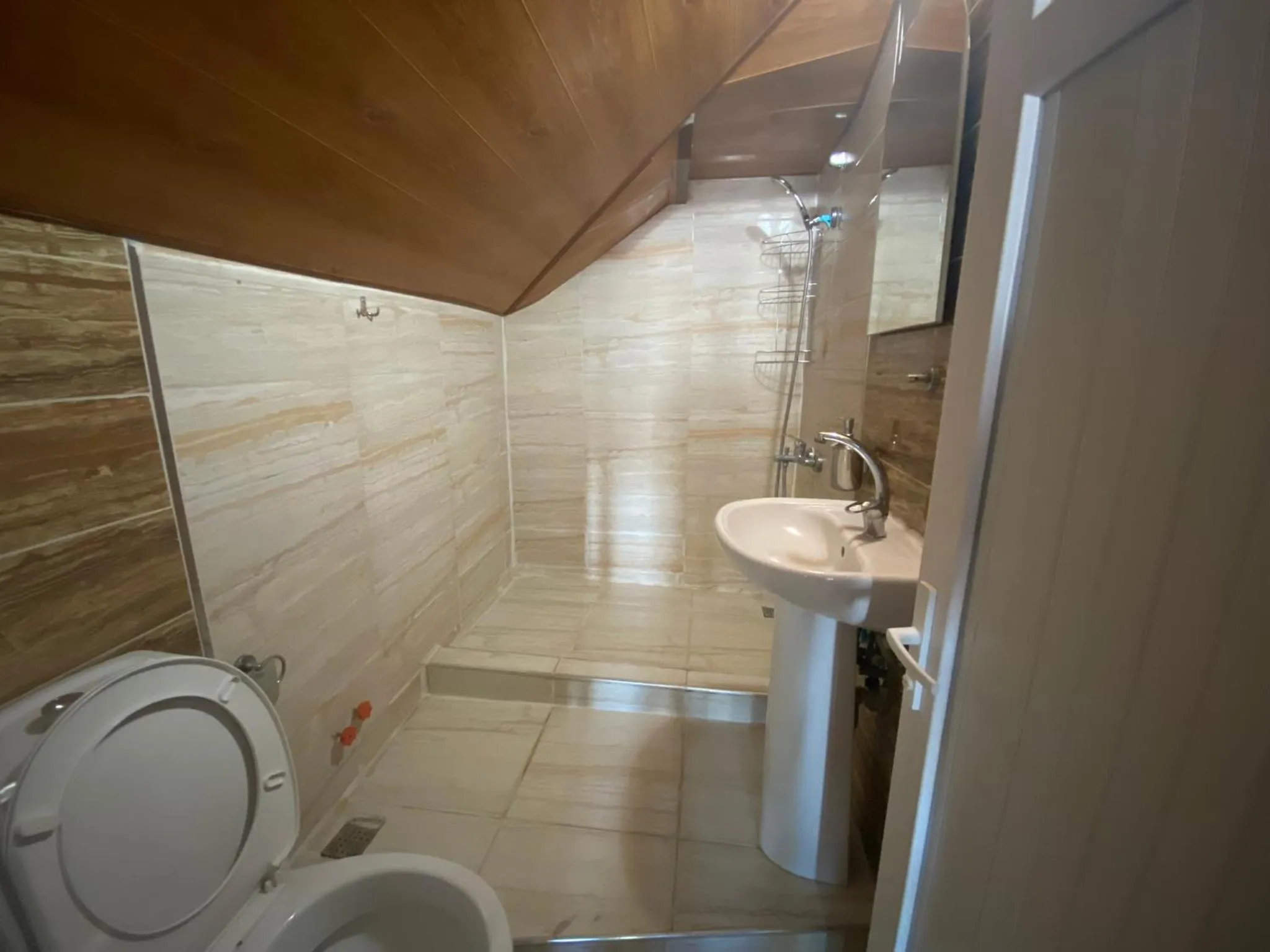 Shower in Camel Apartment