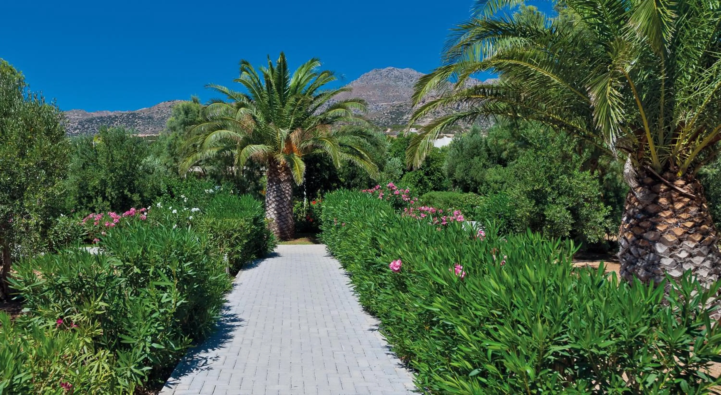 Garden in Almyra Resort