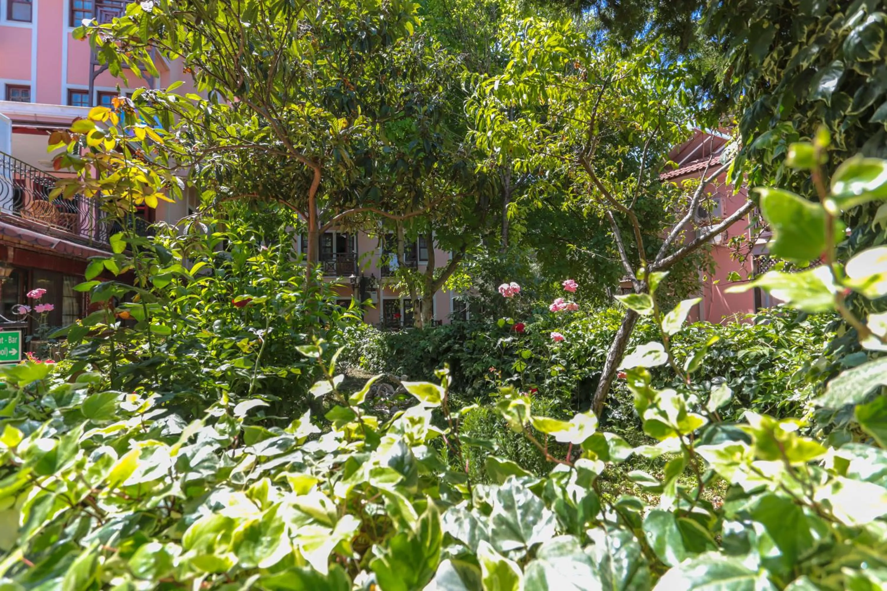 Garden in Club Pink Palace Hotel