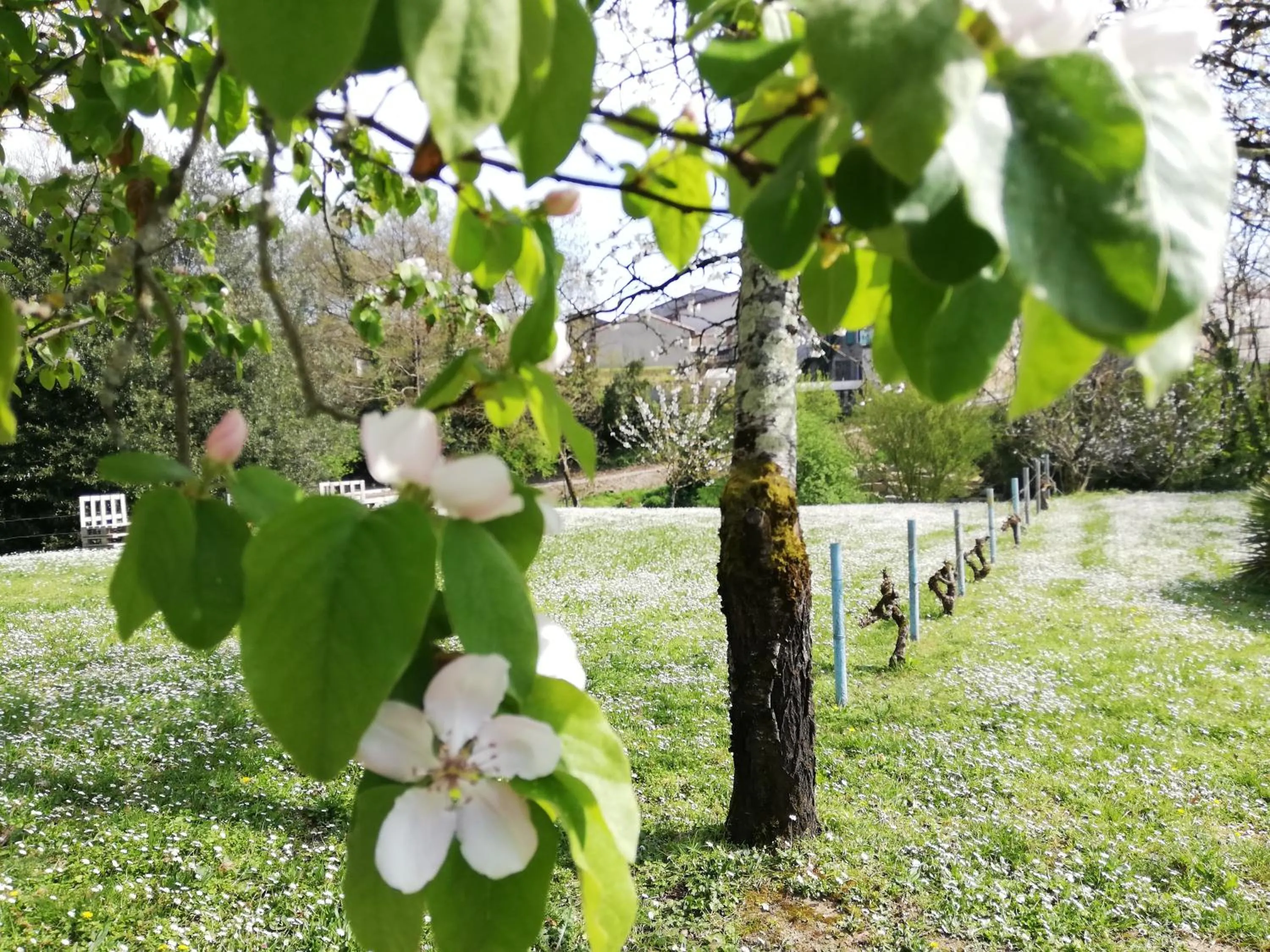Garden in La Verrerie