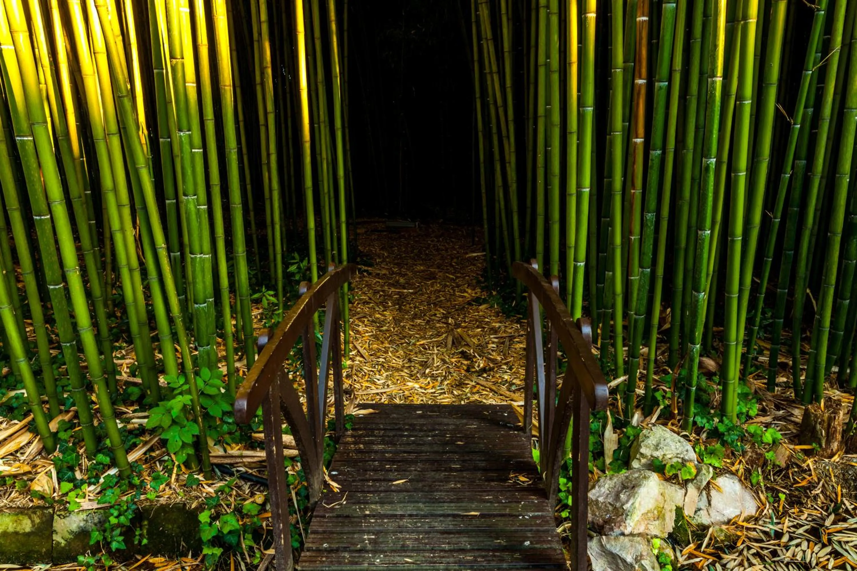 Garden in La Verrerie