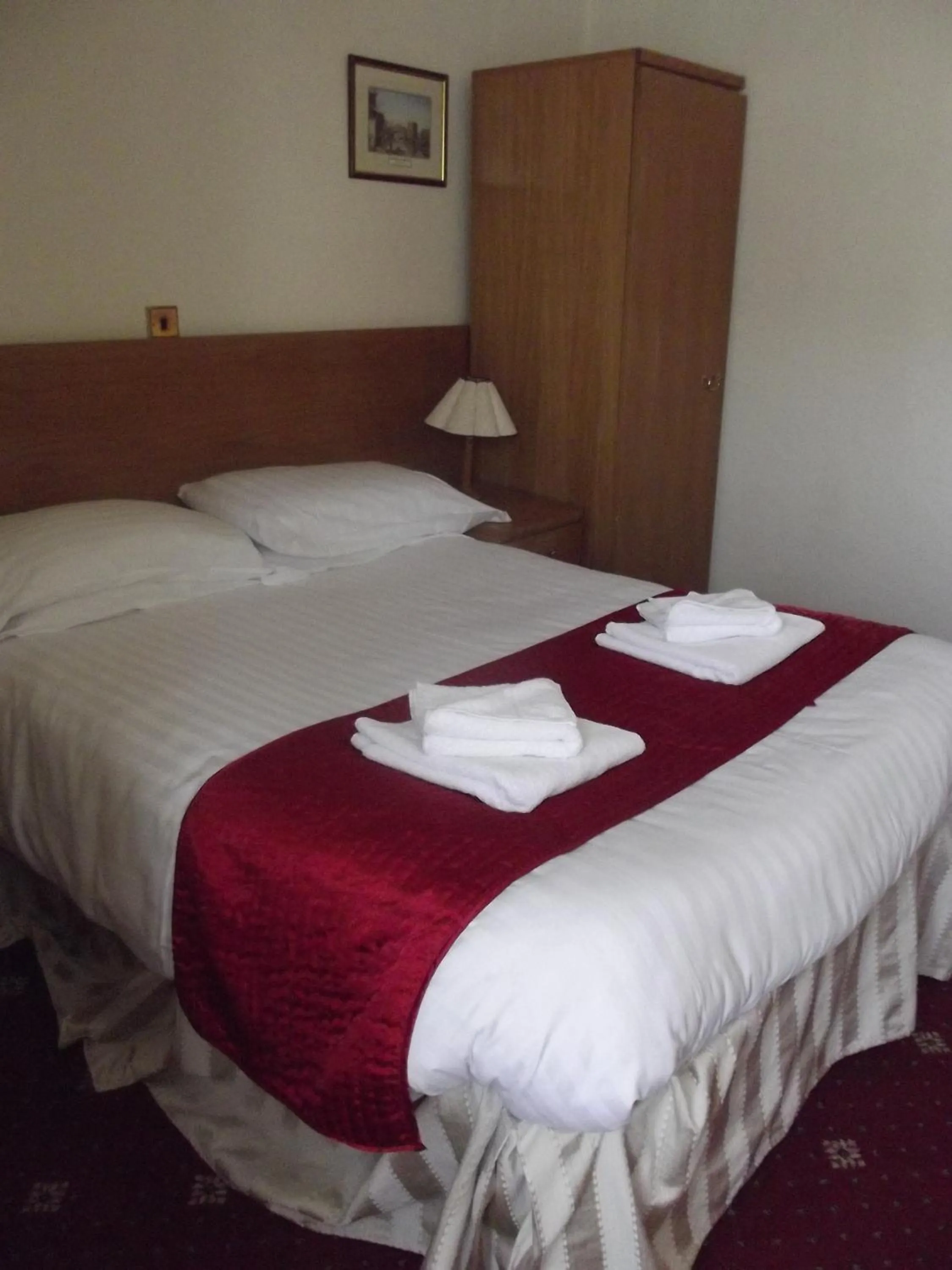 Bed in Plas Coch Hotel Ltd