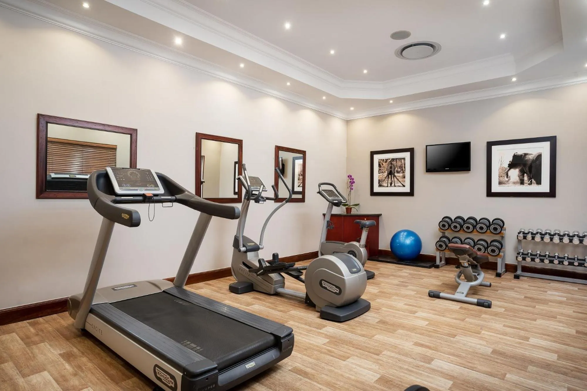 Fitness centre/facilities in Premier Hotel Quatermain