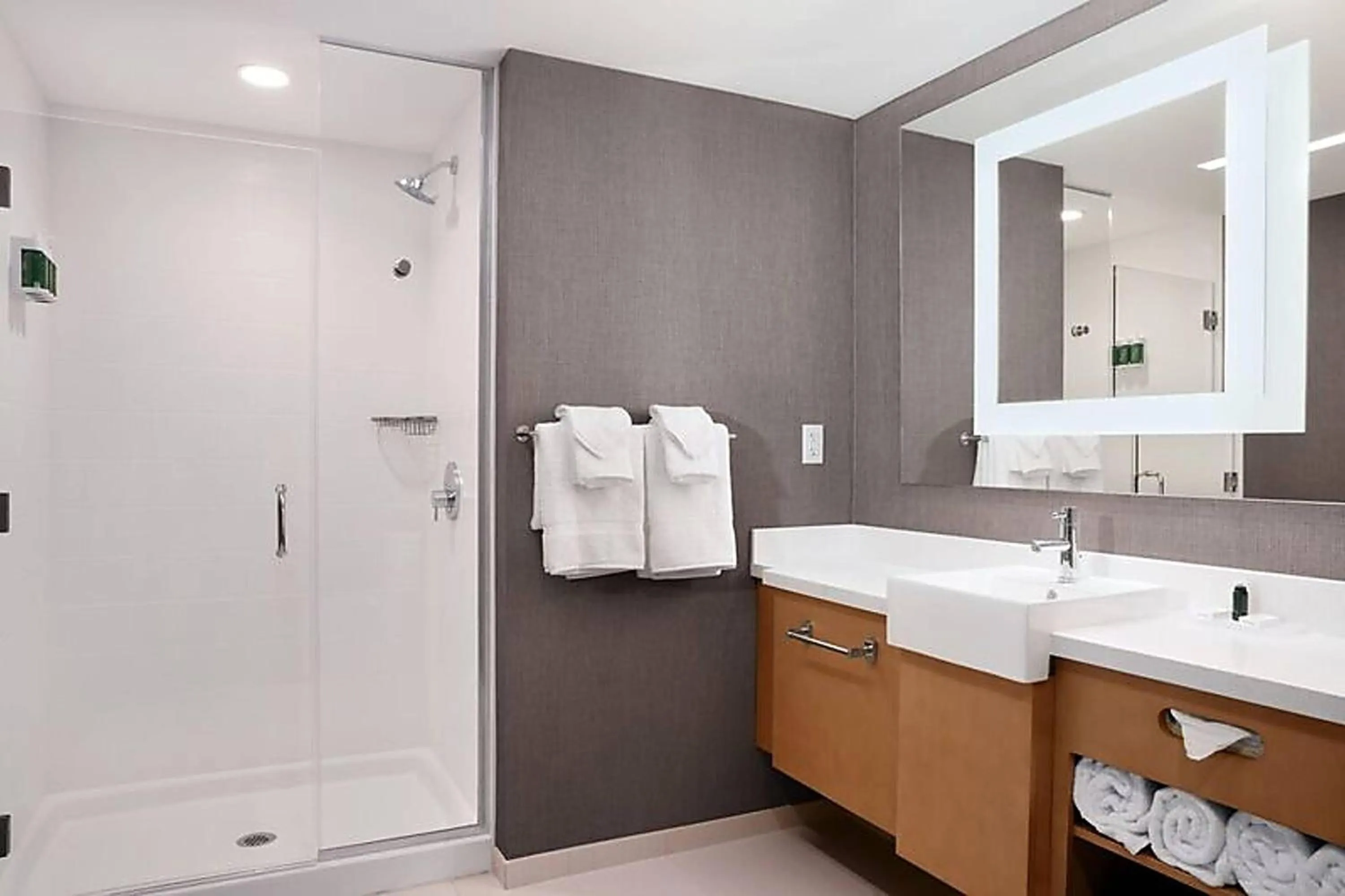 Bathroom in SpringHill Suites by Marriott Orlando Theme Parks Lake Buena Vista