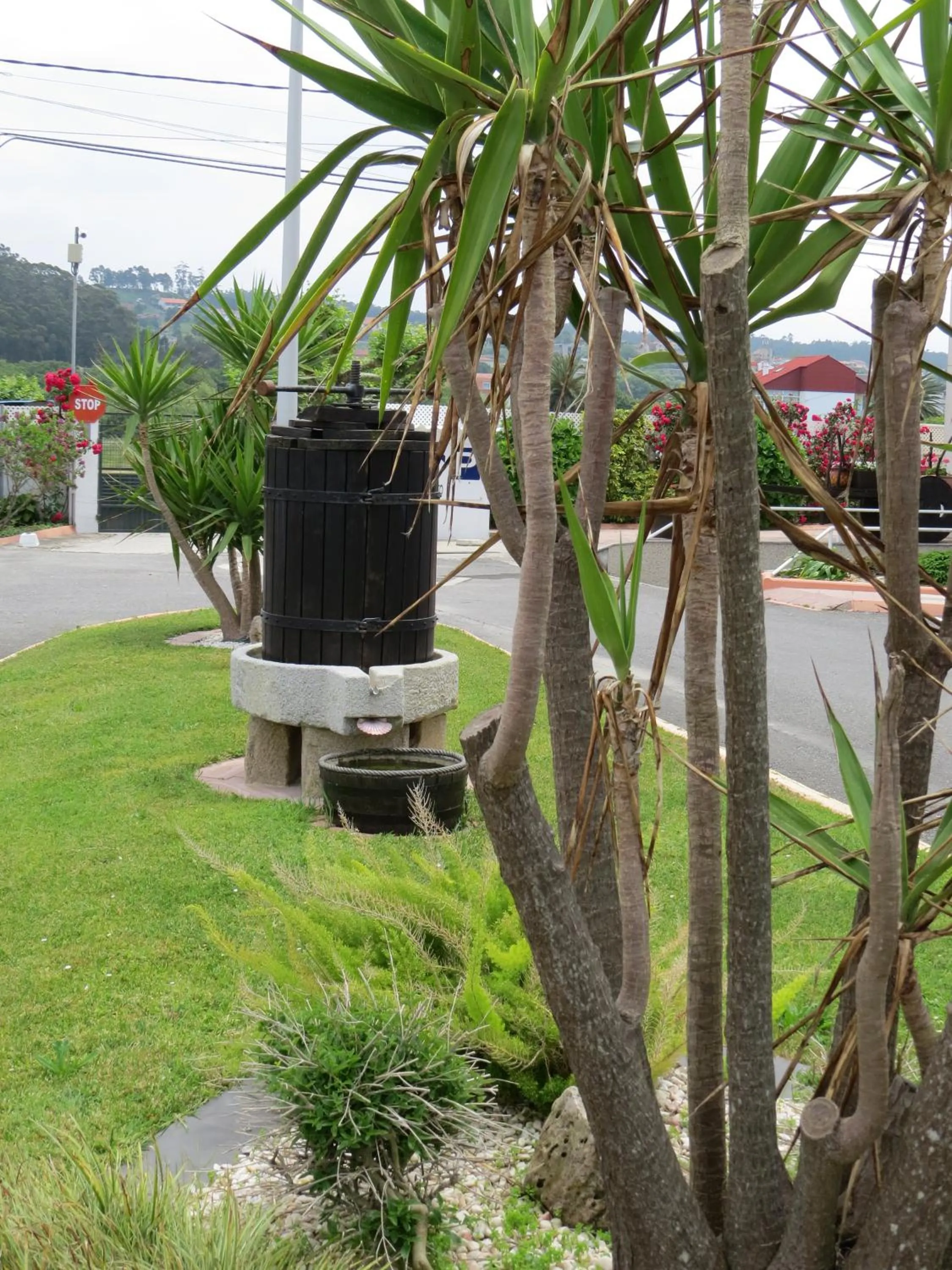 Garden in Hotel Nuevo Lanzada