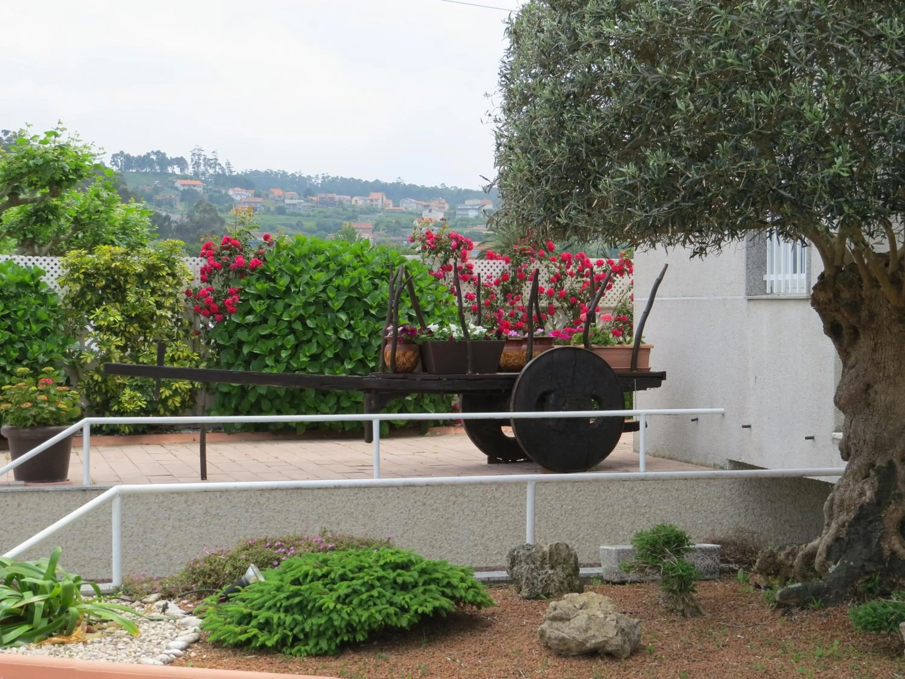 Garden in Hotel Nuevo Lanzada