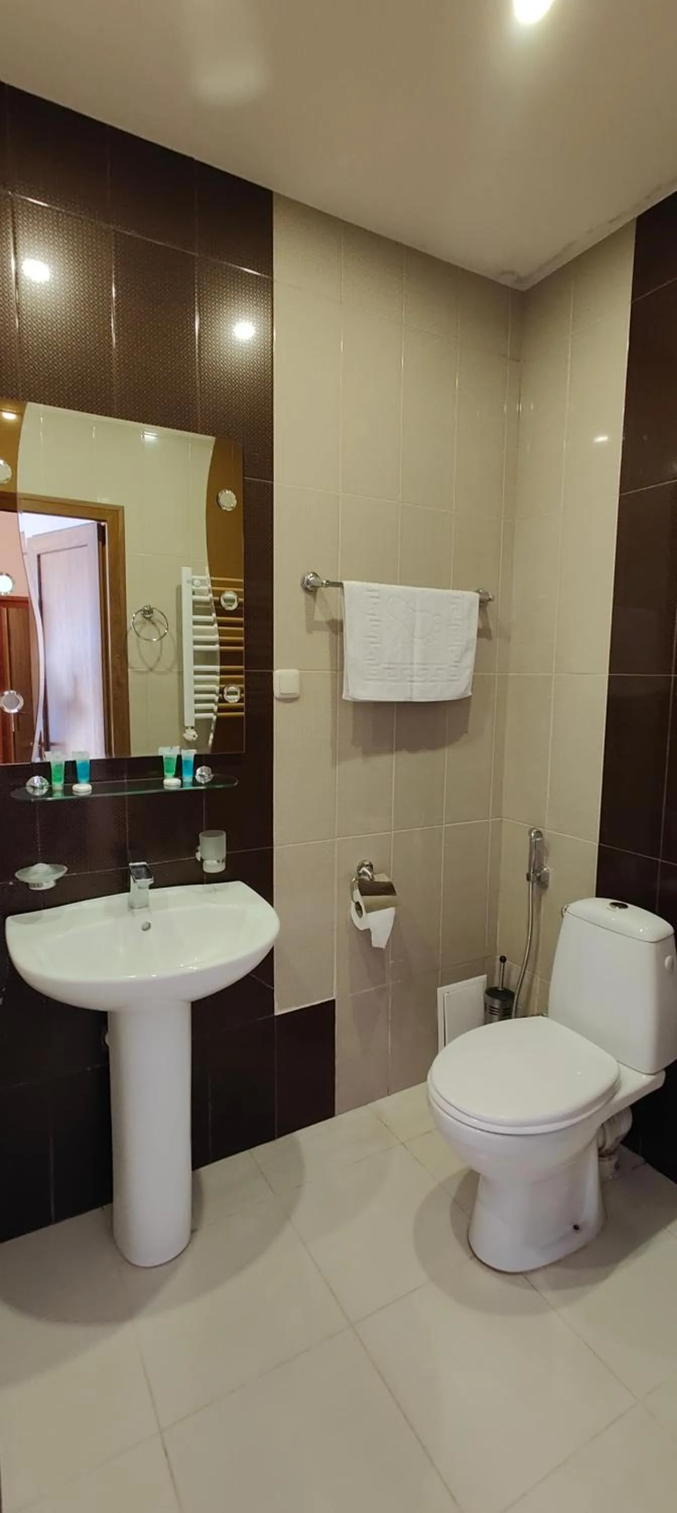 Toilet in Areg Hotel