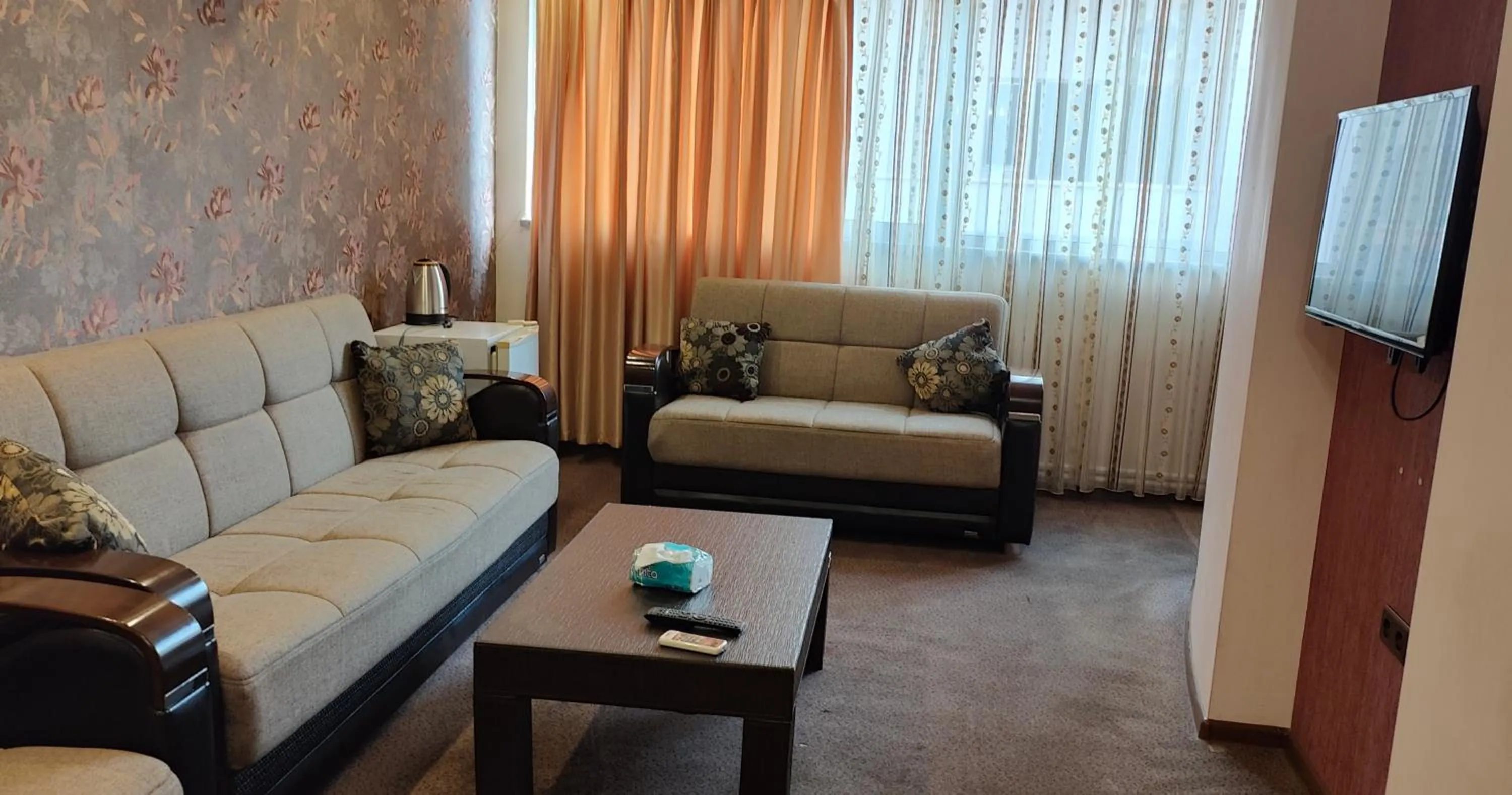 TV and multimedia in Areg Hotel