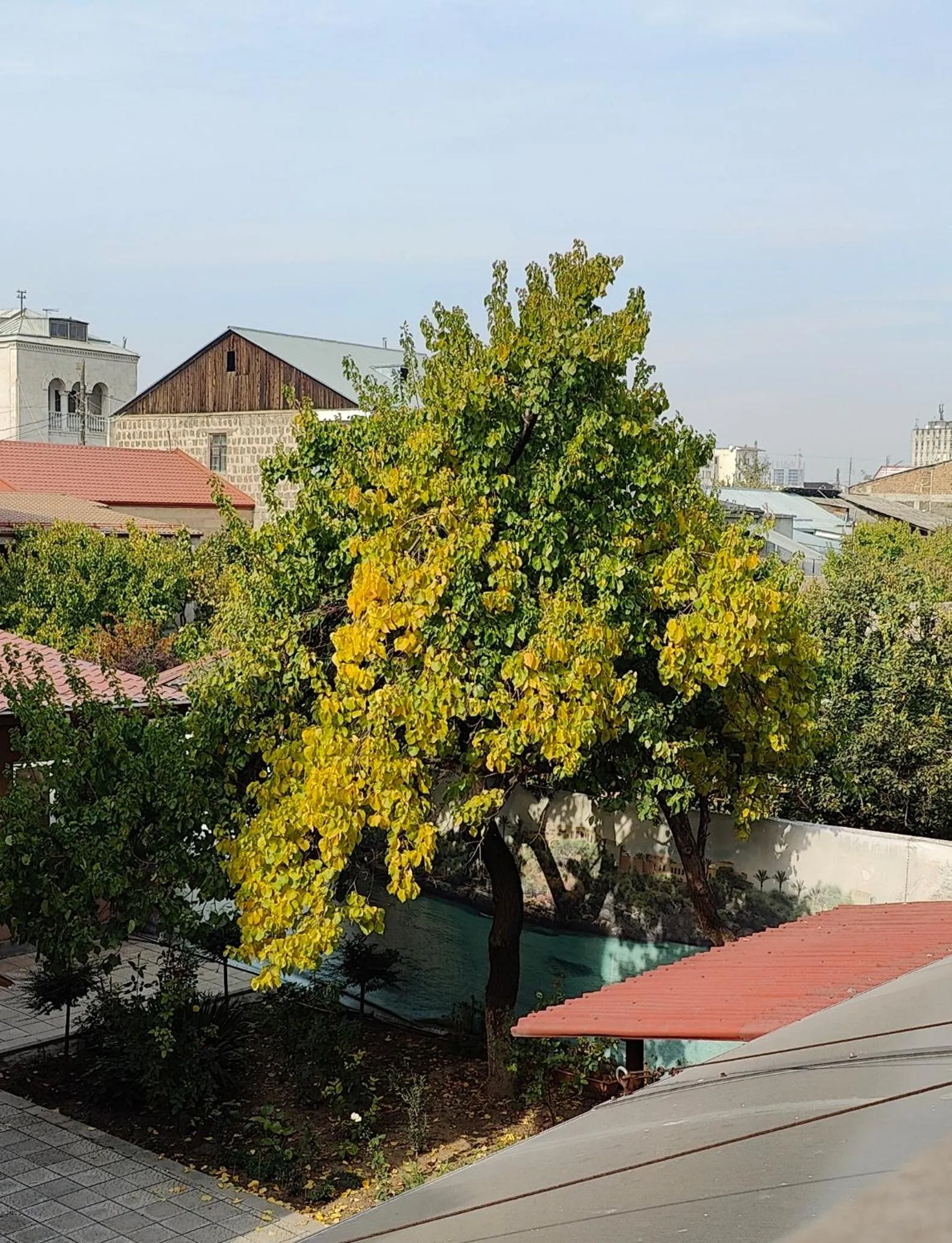 Garden view in Areg Hotel
