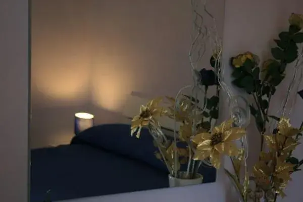 Double Room - single occupancy in Foresteria delle Naiadi Double Room - single occupancy in Foresteria delle Naiadi