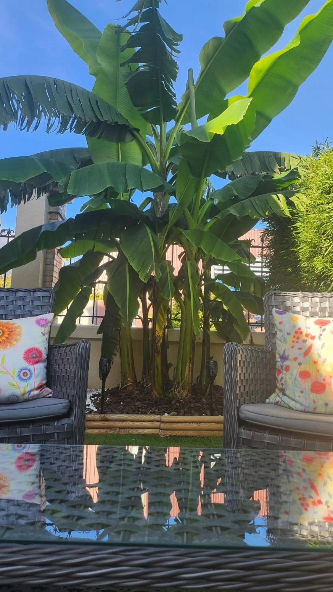 Garden in L'Iliade - Chambres d'hôtes - B&B à Bouzy