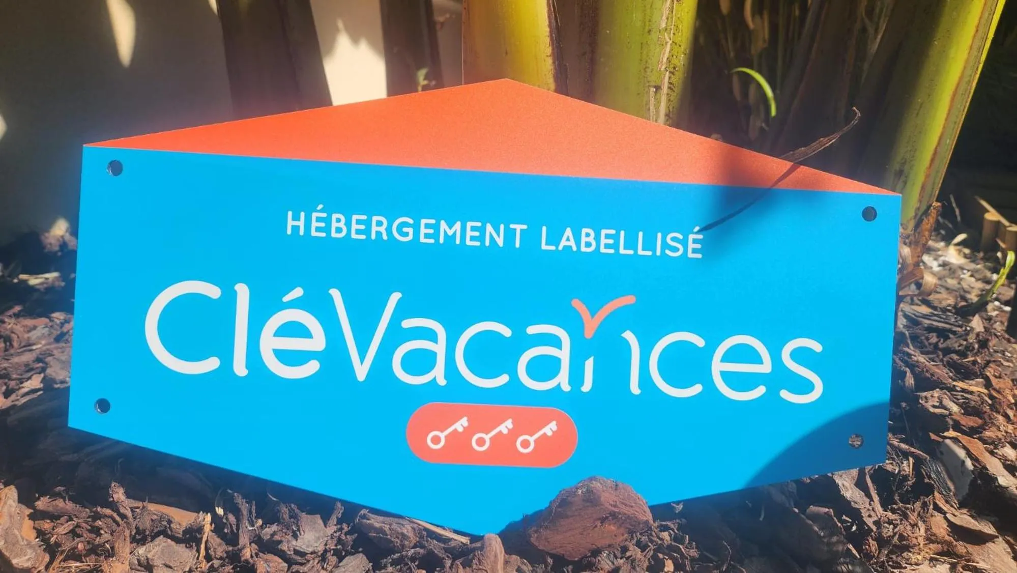 Other in L'Iliade - Chambres d'hôtes - B&B à Bouzy