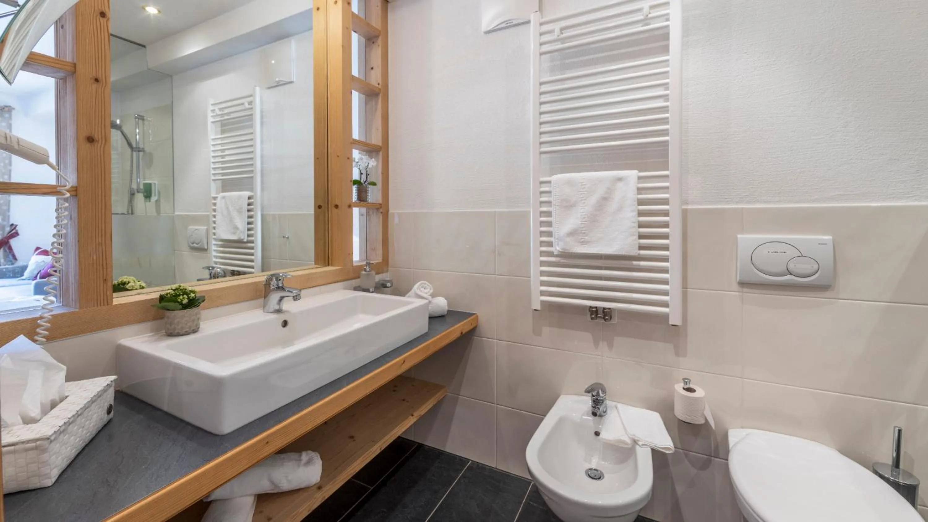 Bathroom in Taser Alm