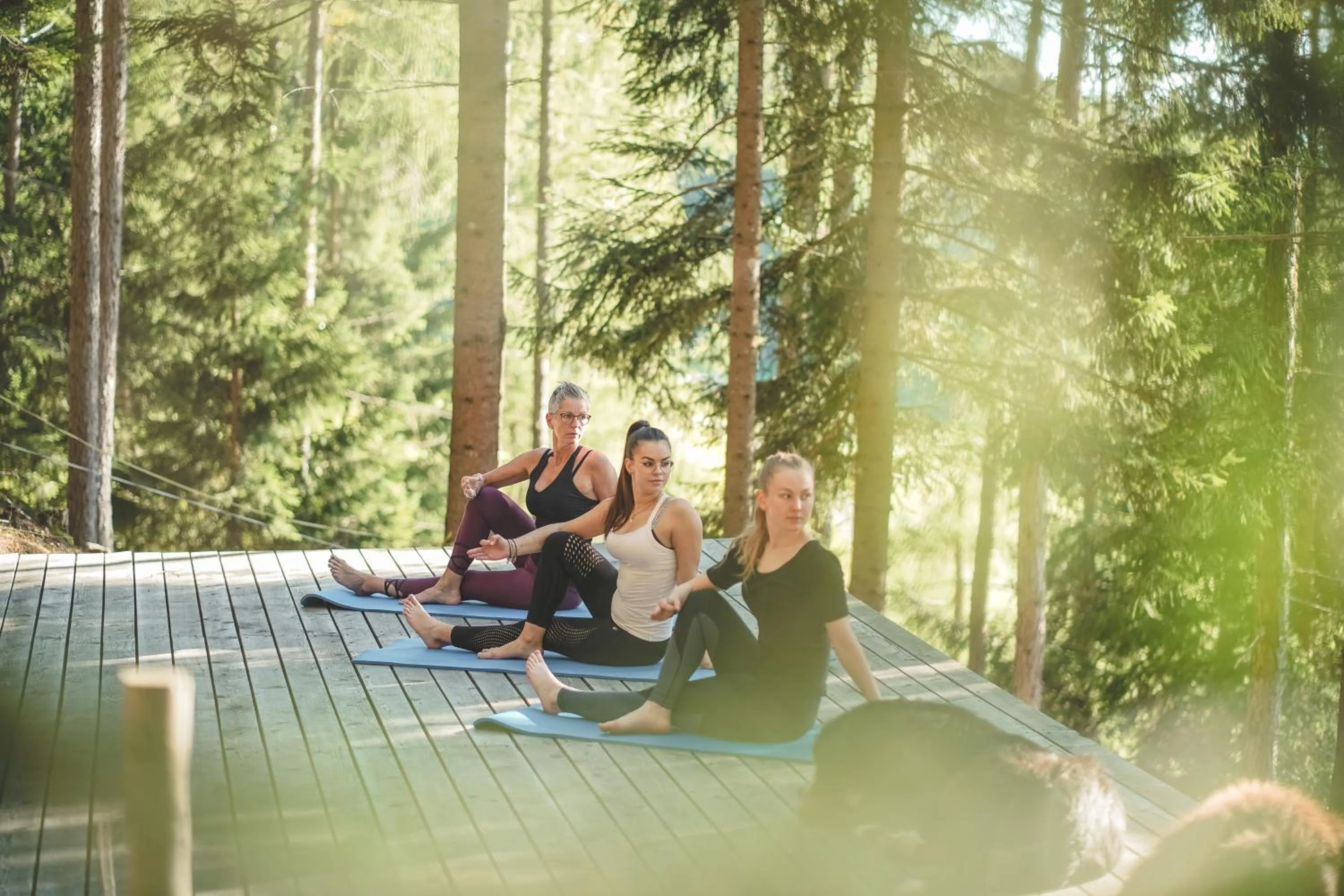 Activities in Taser Alm