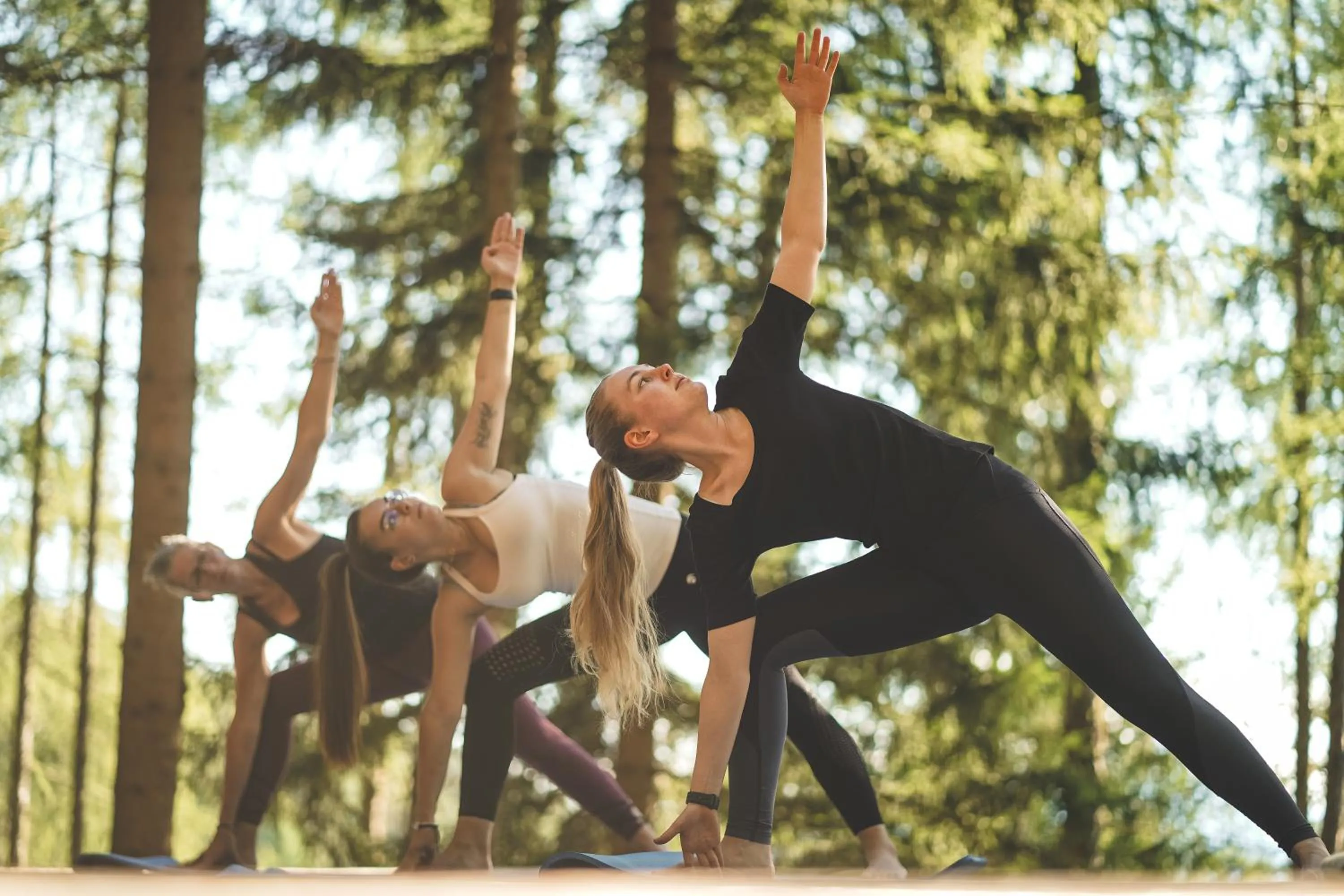 Activities in Taser Alm