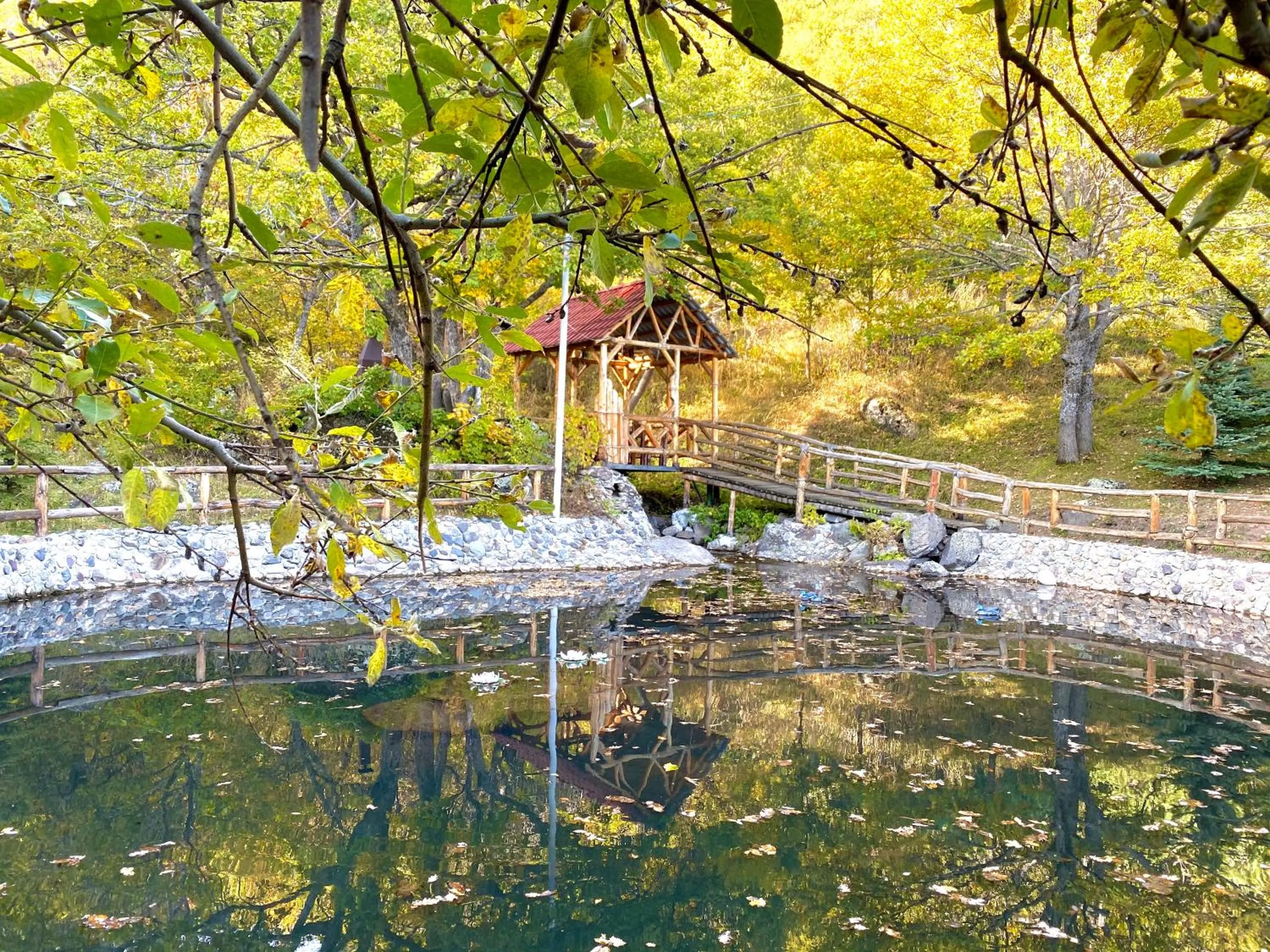 Natural landscape in Alva Hotel & Spa