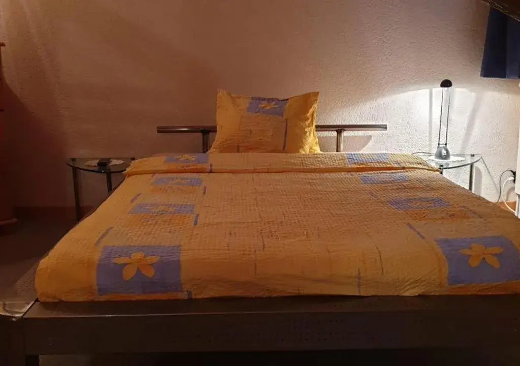 Small Single Room in Hotel-Restaurant le Relais Panoramique Small Single Room in Hotel-Restaurant le Relais Panoramique