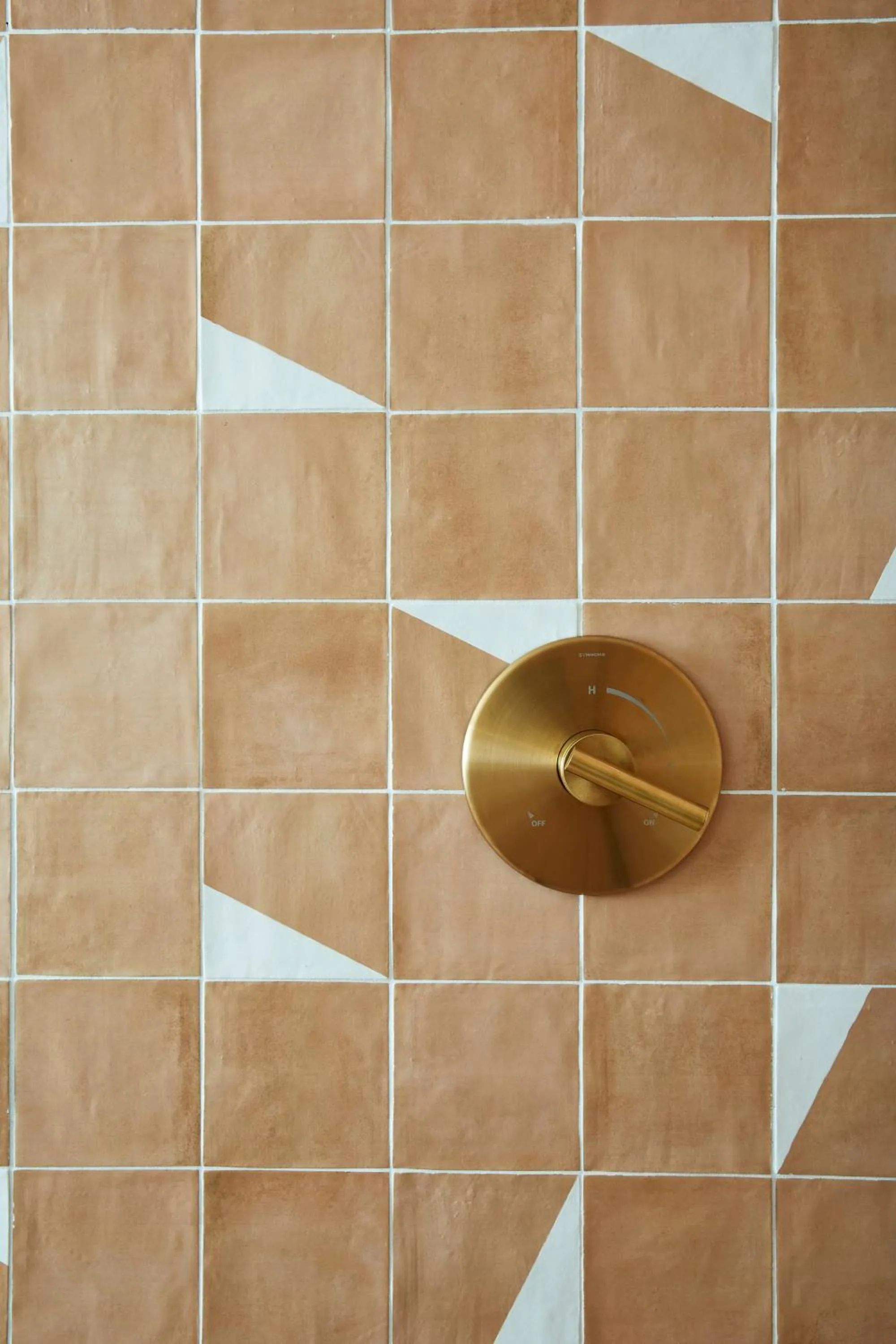 Decorative detail in San Luis Creek Lodge